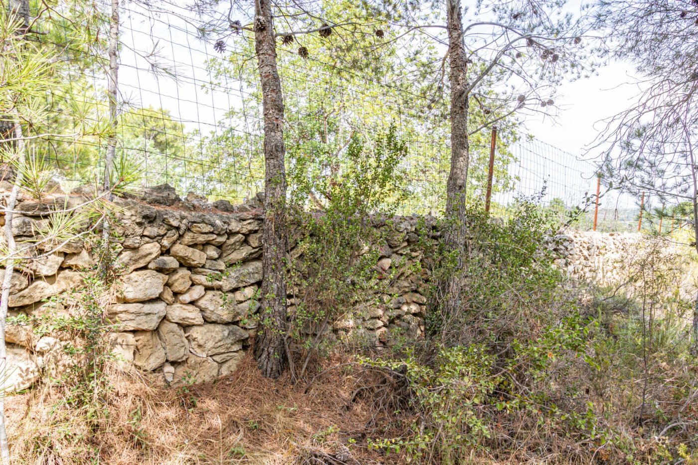 Fincas y solares-Venta-Monserrat - Montserrat-492198-Foto-15