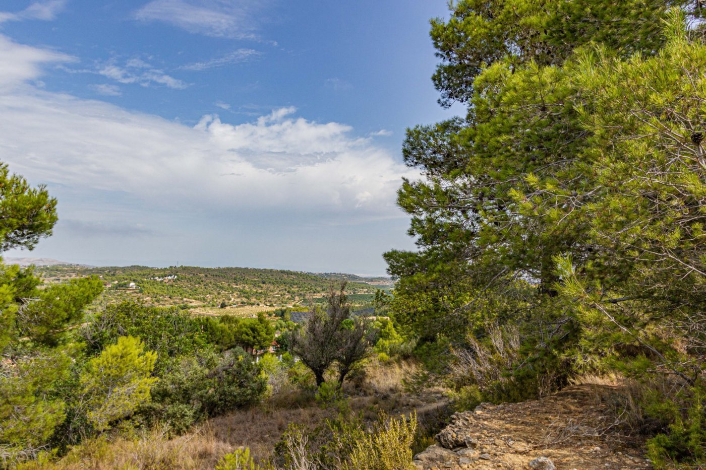 Fincas y solares-Venta-Monserrat - Montserrat-492198-Foto-18