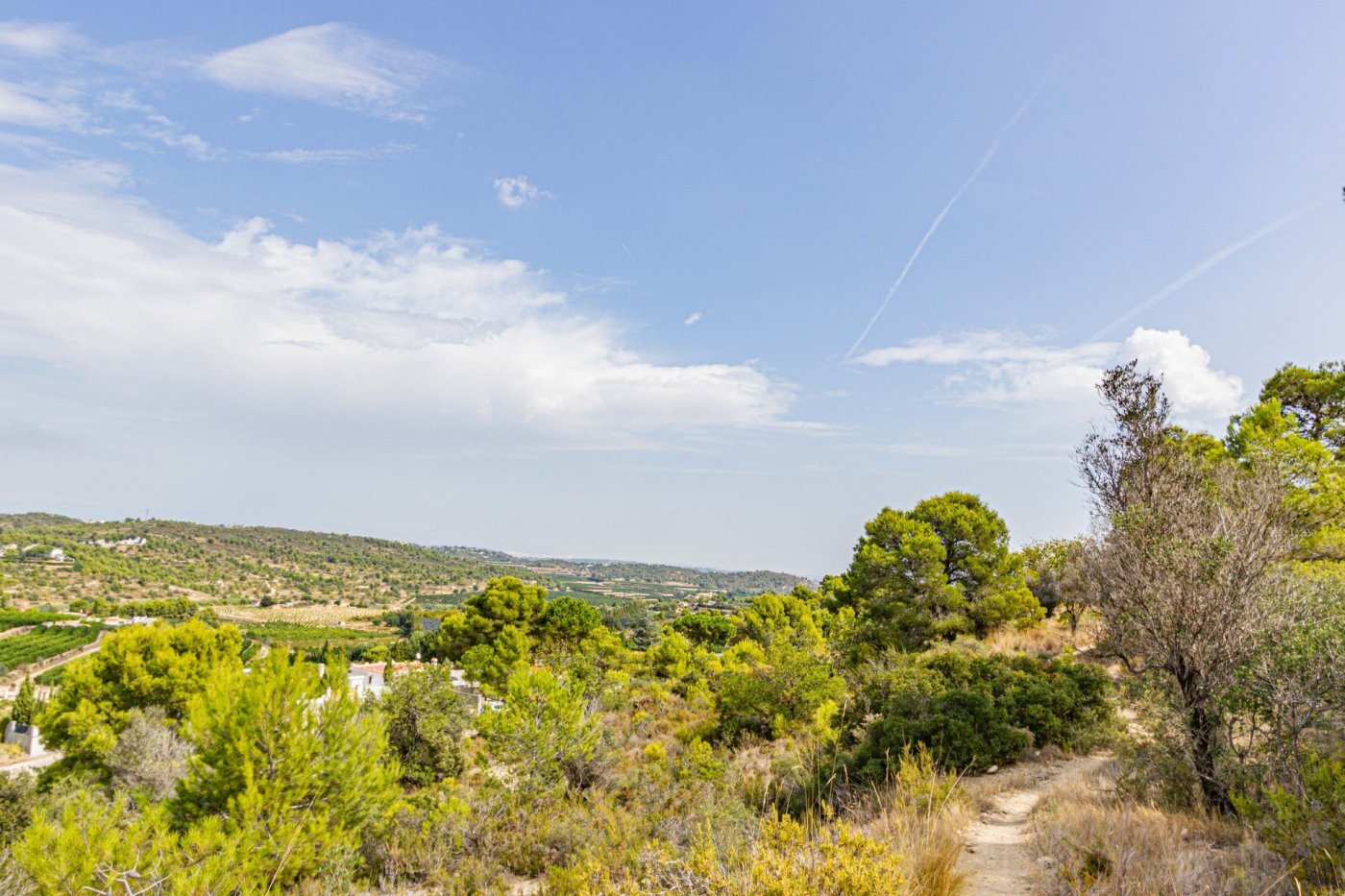 Fincas y solares-Venta-Monserrat - Montserrat-492198-Foto-19
