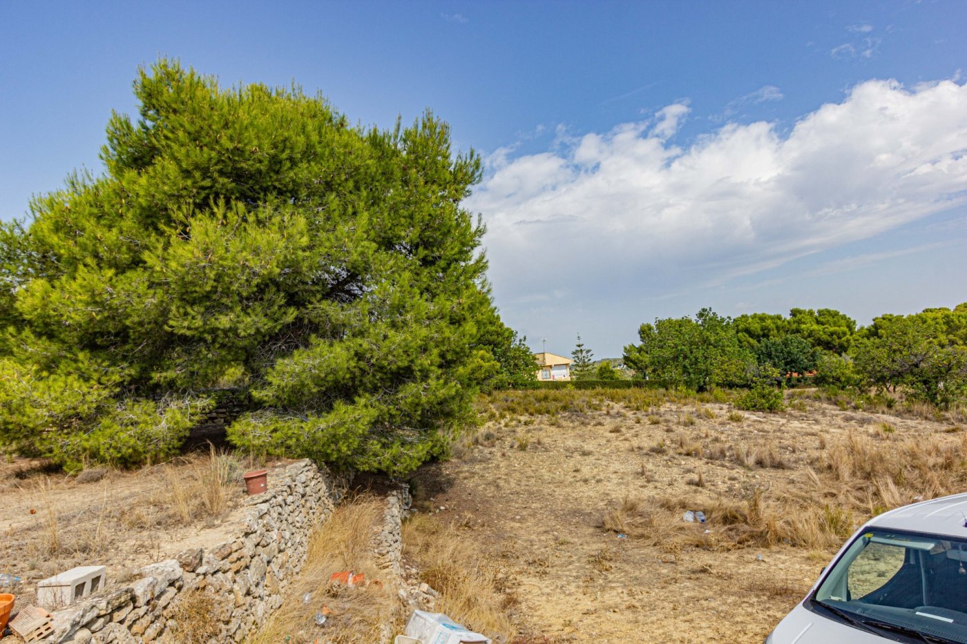 Fincas y solares-Venta-Monserrat - Montserrat-492198-Foto-20