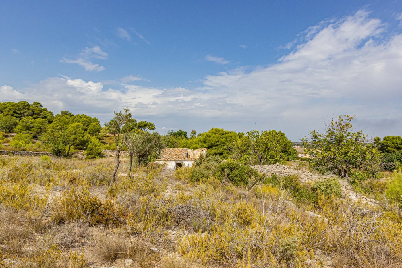 Fincas y solares-Venta-Monserrat - Montserrat-492198-Foto-24
