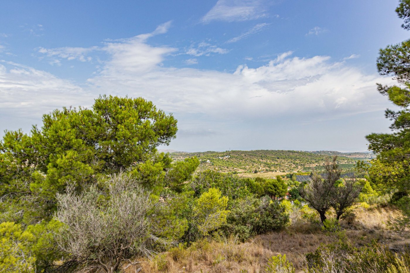 Fincas y solares-Venta-Monserrat - Montserrat-492198-Foto-23