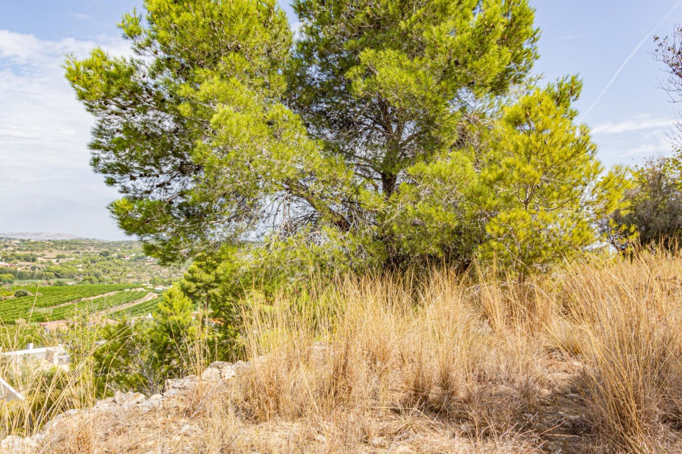 Fincas y solares-Venta-Monserrat - Montserrat-492198-Foto-25