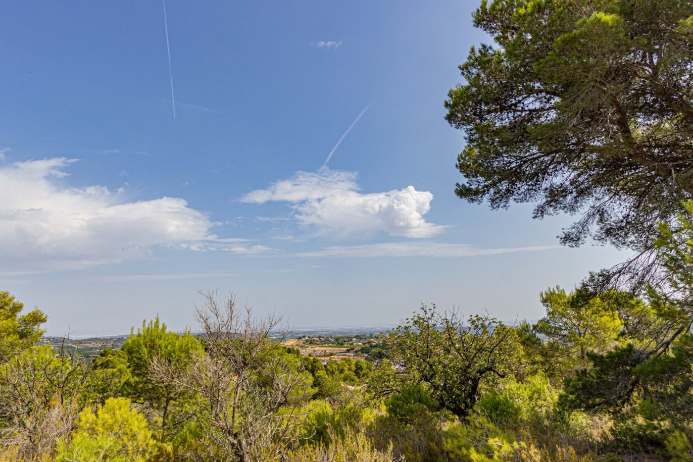 Fincas y solares-Venta-Monserrat - Montserrat-492198-Foto-27