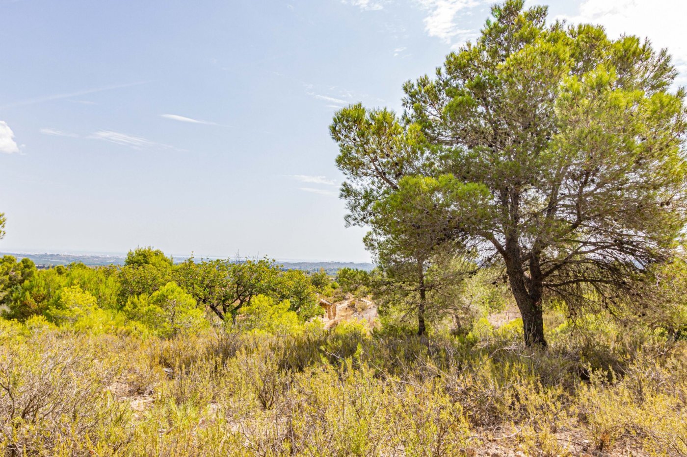 Fincas y solares-Venta-Monserrat - Montserrat-492198-Foto-29