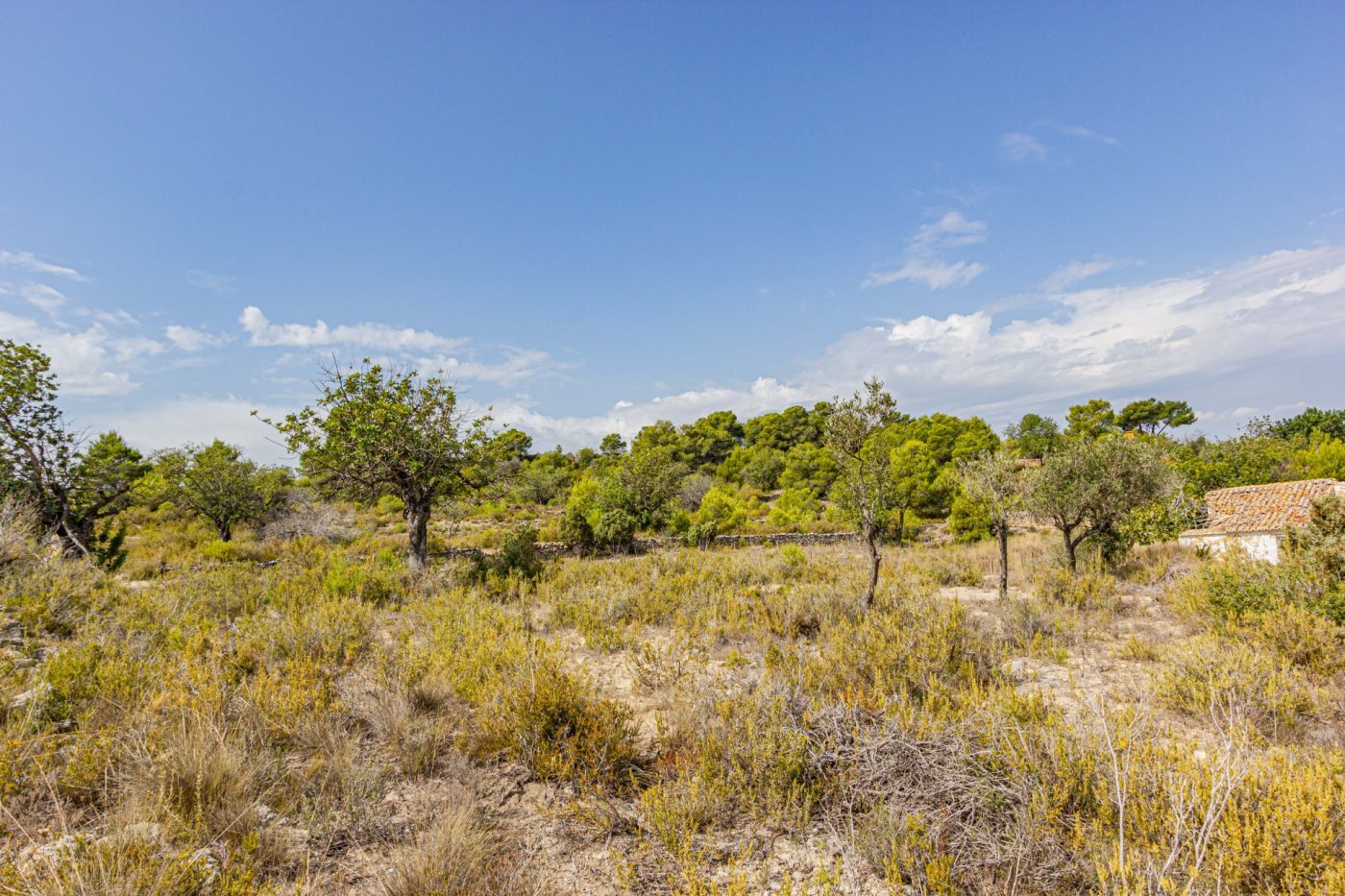 Fincas y solares-Venta-Monserrat - Montserrat-492198-Foto-30