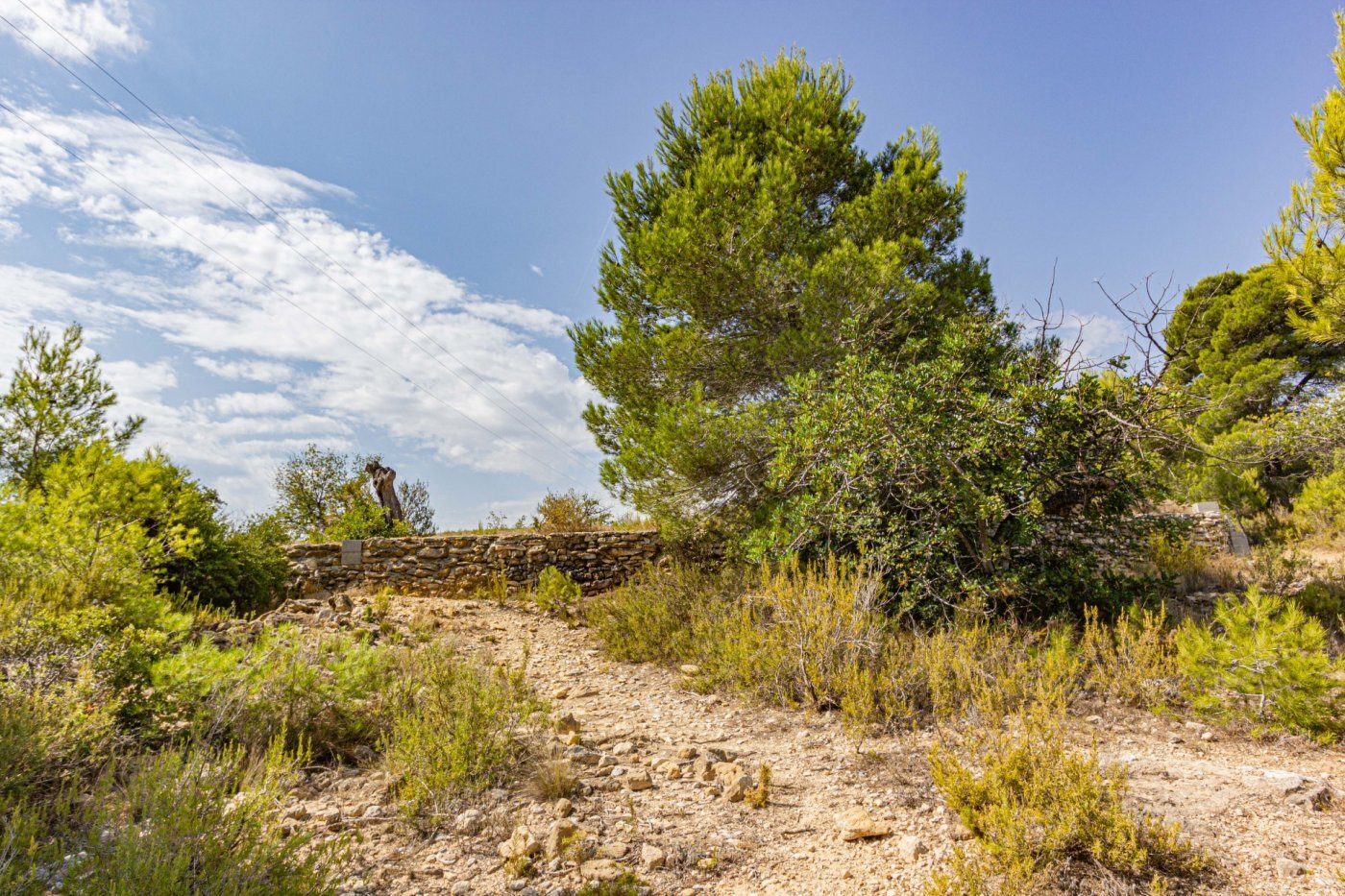 Fincas y solares-Venta-Monserrat - Montserrat-492198-Foto-32