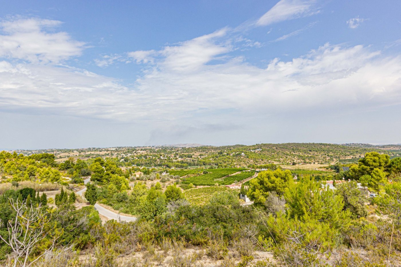 Fincas y solares-Venta-Monserrat - Montserrat-492198-Foto-31