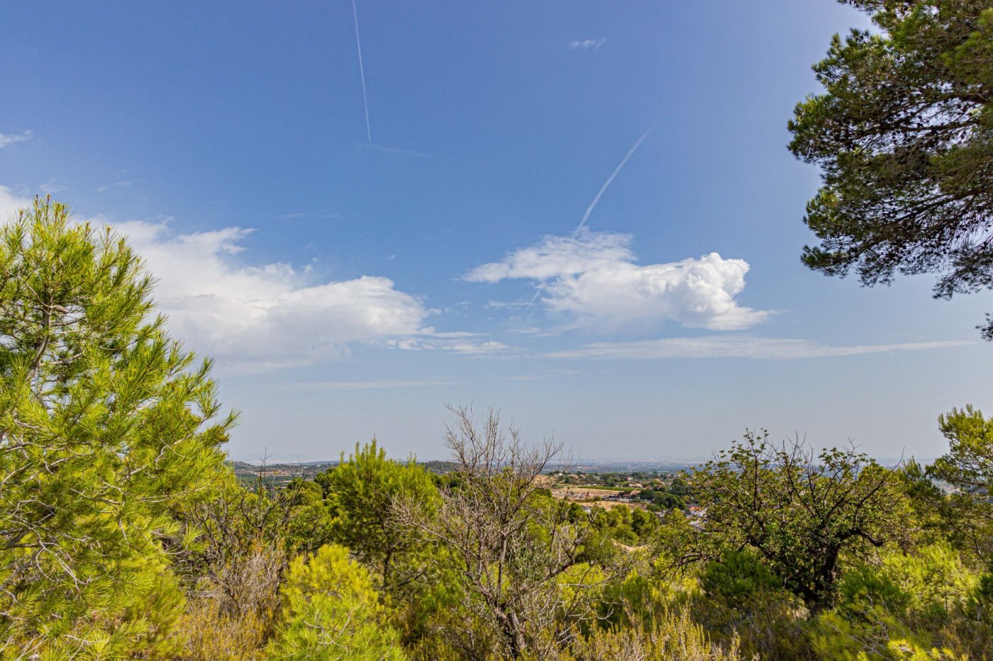 Fincas y solares-Venta-Monserrat - Montserrat-492198-Foto-33
