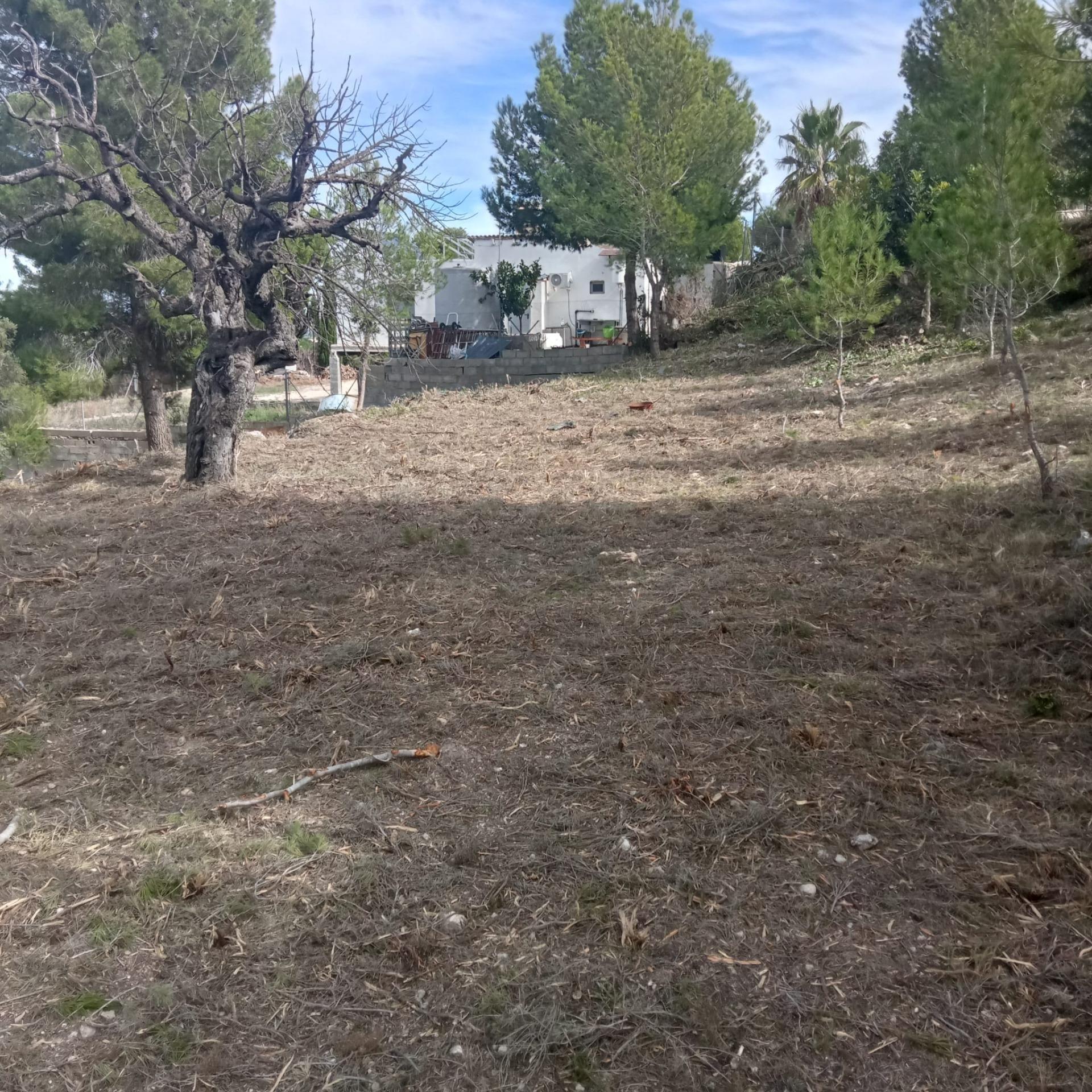Fincas y solares-Venta-Godelleta-1520020-Foto-4