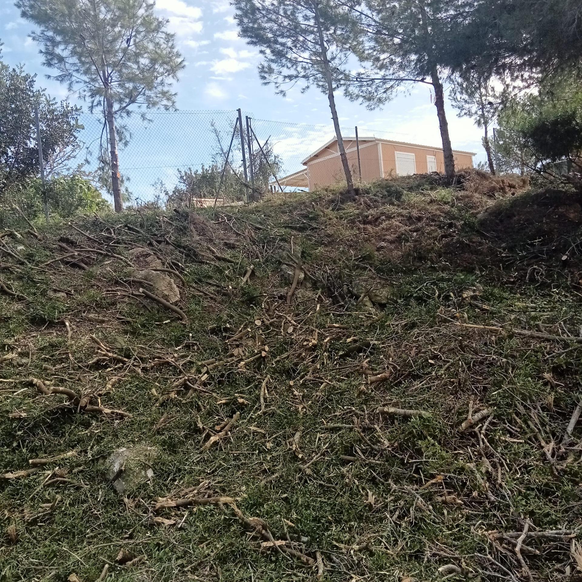 Fincas y solares-Venta-Godelleta-1520020-Foto-8