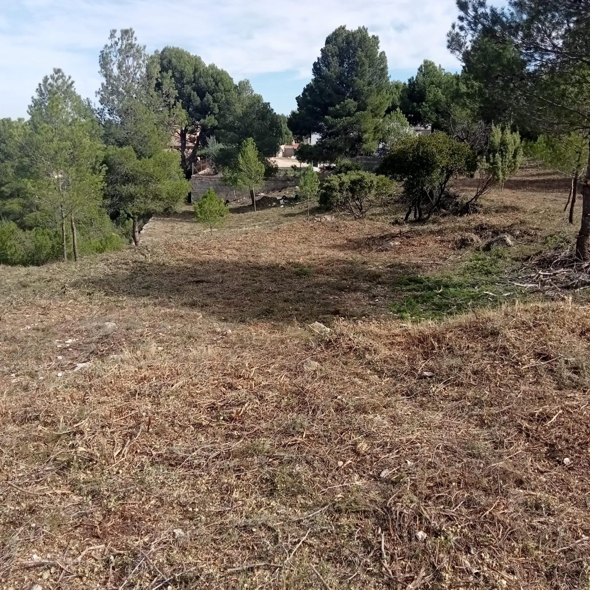 Fincas y solares-Venta-Godelleta-1520020-Foto-9