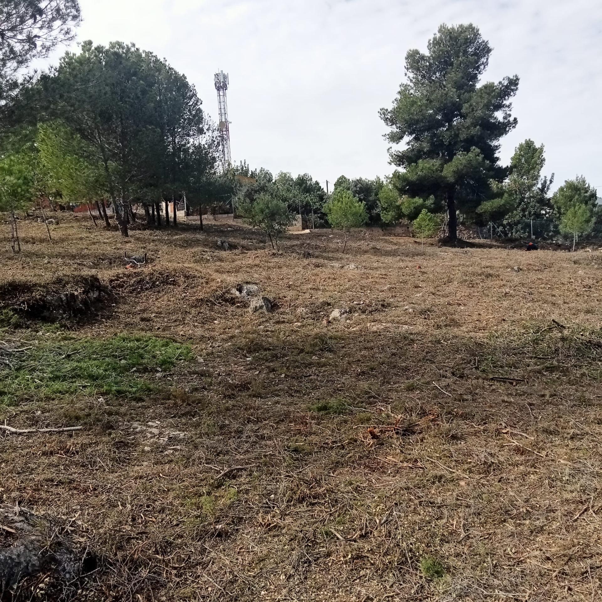 Fincas y solares-Venta-Godelleta-1520020-Foto-6