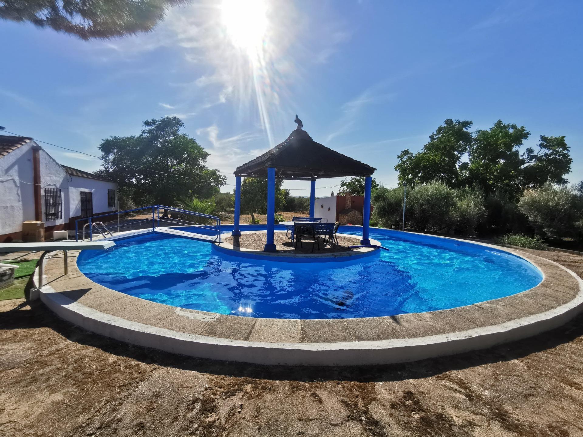 Casas o chalets-Venta-Moraleda de Zafayona-1768757-Foto-6