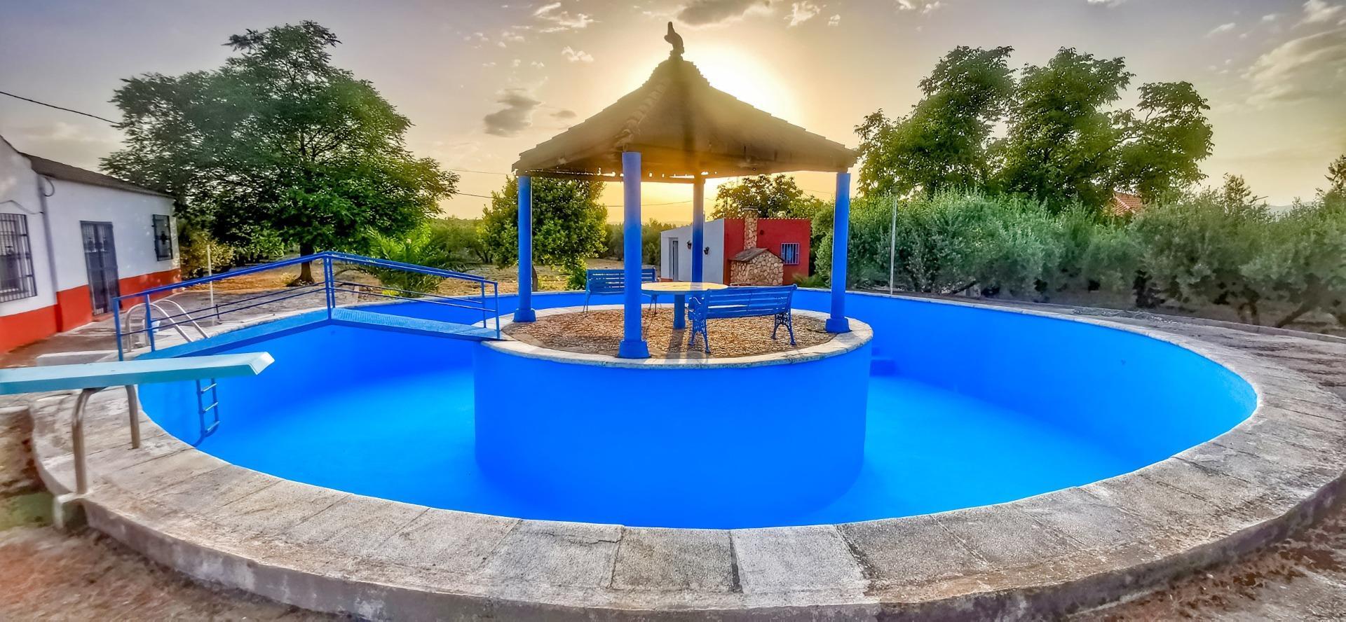 Casas o chalets-Venta-Moraleda de Zafayona-1768757-Foto-7