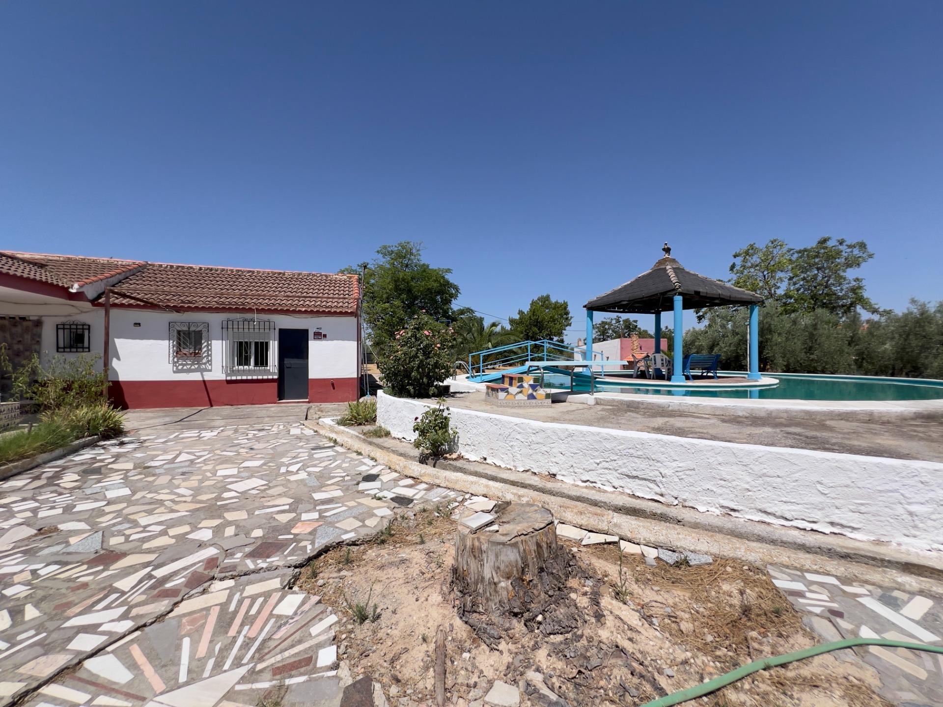 Casas o chalets-Venta-Moraleda de Zafayona-1768757-Foto-10