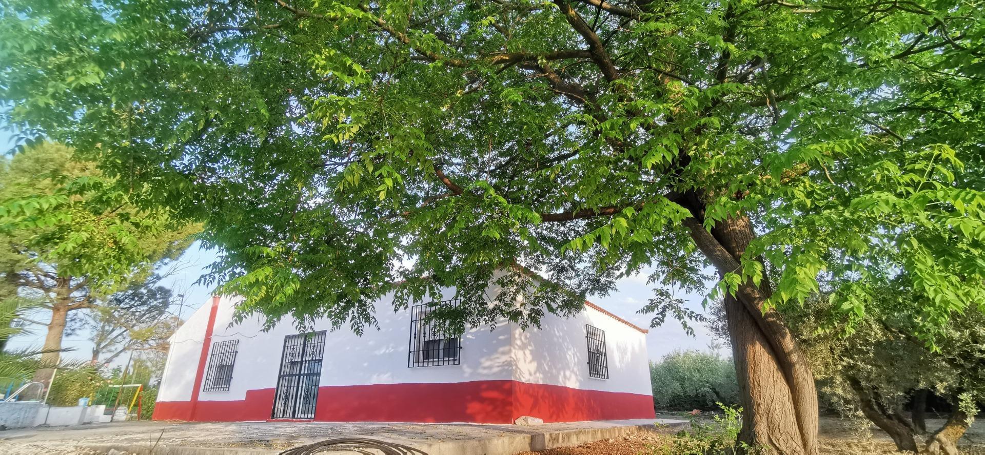 Casas o chalets-Venta-Moraleda de Zafayona-1768757-Foto-19