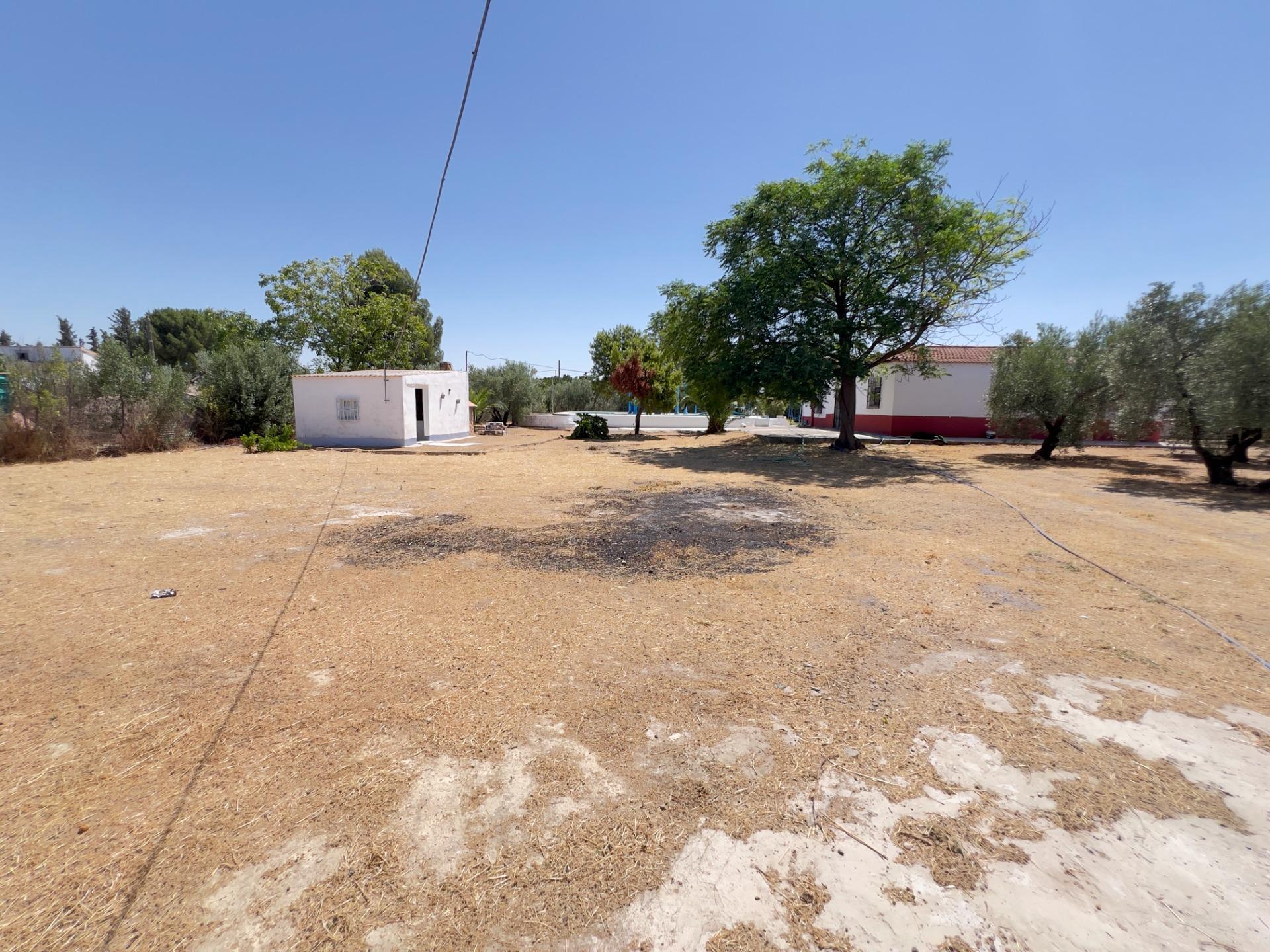 Casas o chalets-Venta-Moraleda de Zafayona-1768757-Foto-55