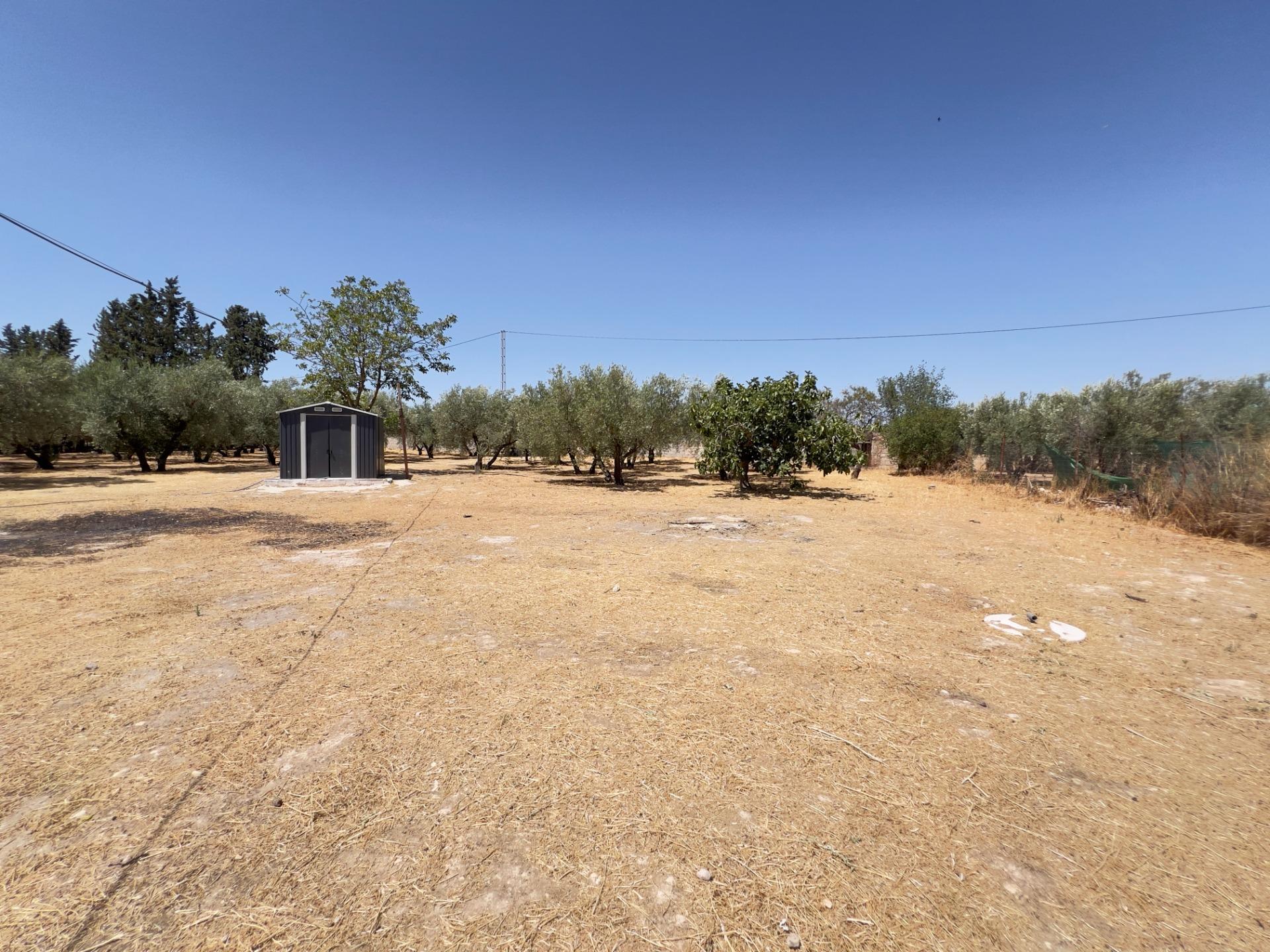 Casas o chalets-Venta-Moraleda de Zafayona-1768757-Foto-57