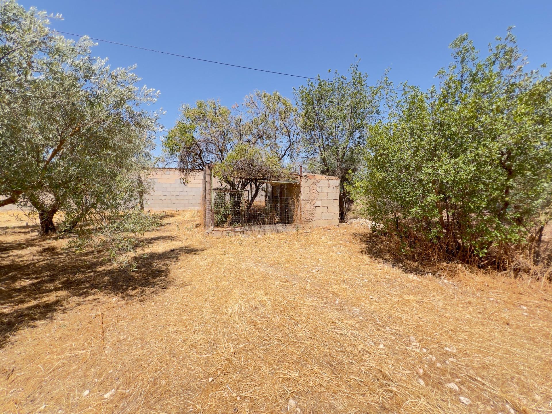 Casas o chalets-Venta-Moraleda de Zafayona-1768757-Foto-56