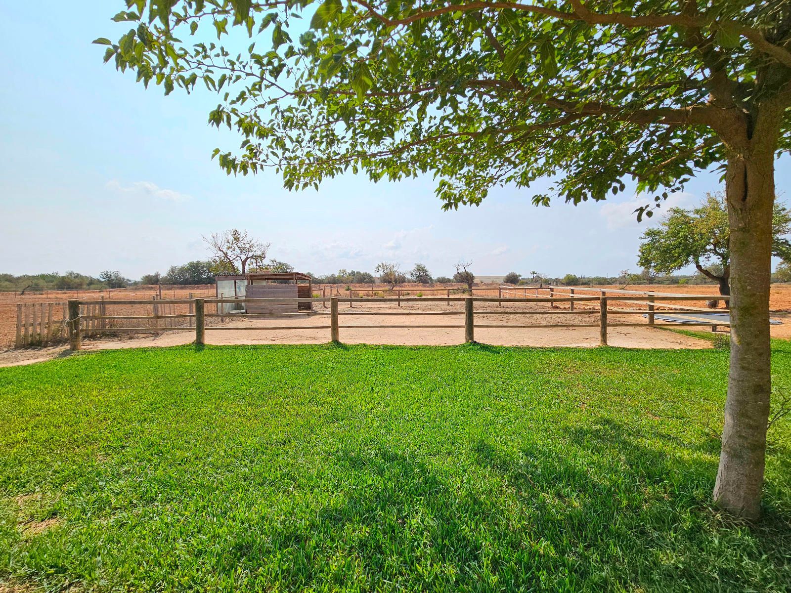 Casas o chalets-Venta-Campos-1483370-Foto-22