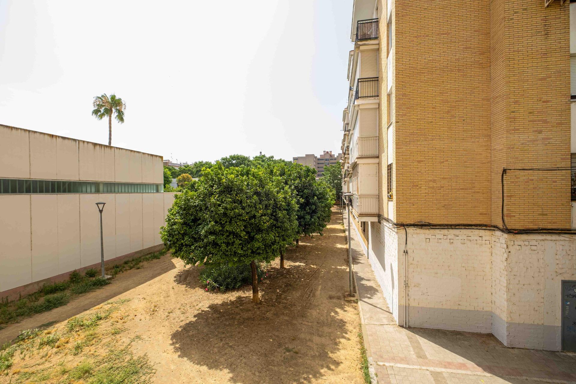 Pisos-Venta-Burguillos-1829663-Foto-17