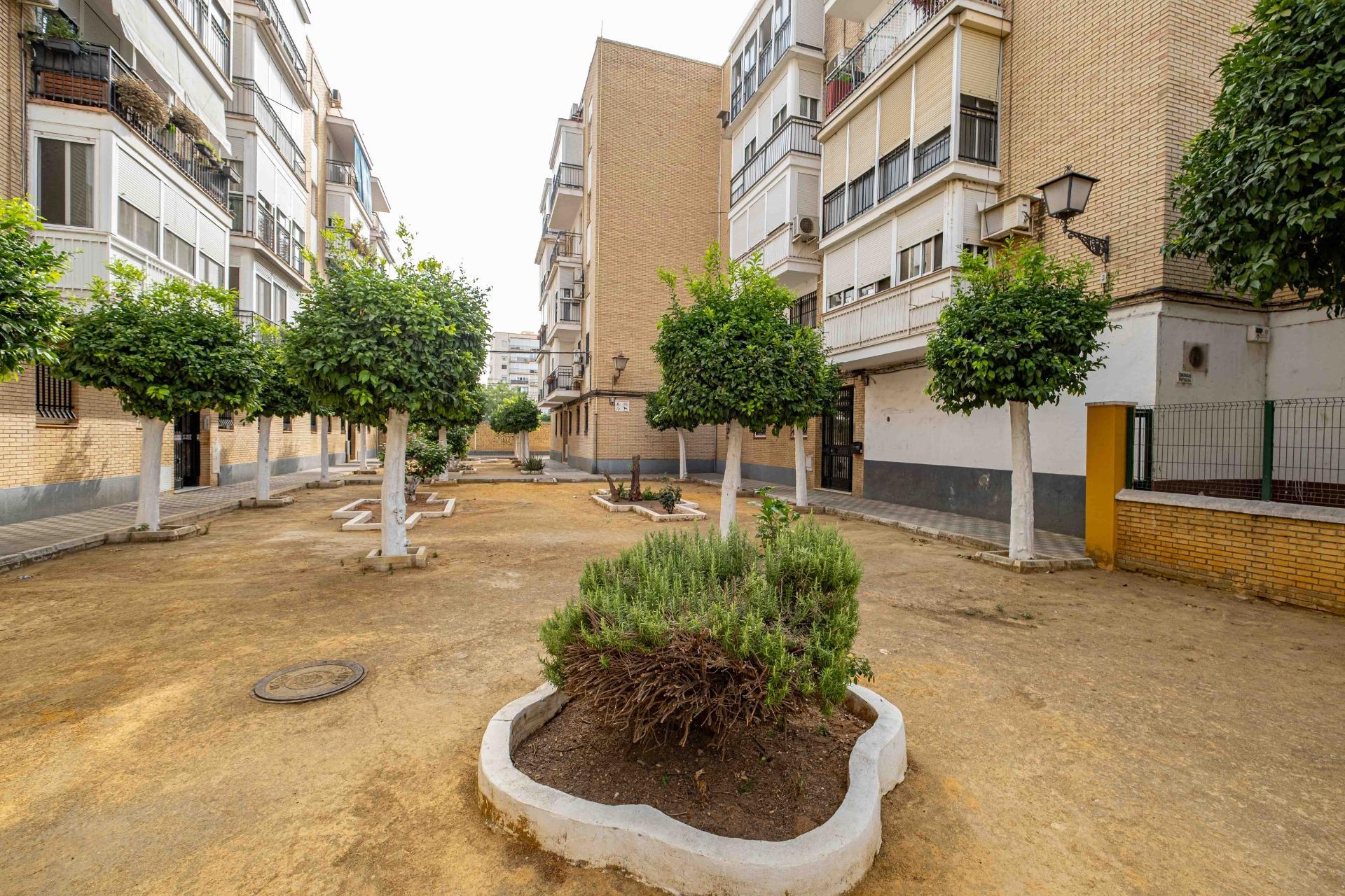 Pisos-Venta-Burguillos-1829663-Foto-16
