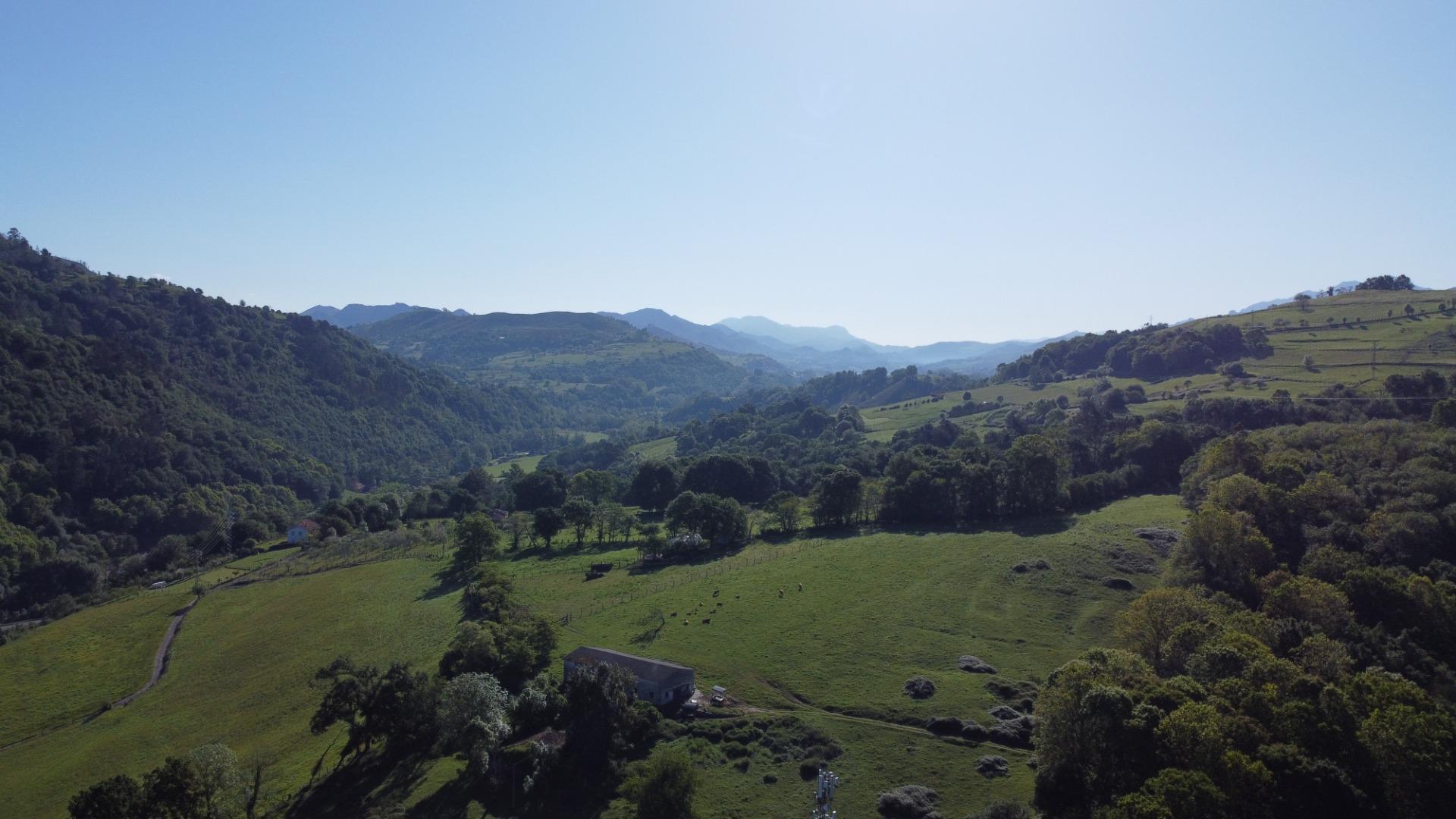 Edificios-Venta-Cangas de OnÃ­s-1724148-Foto-50