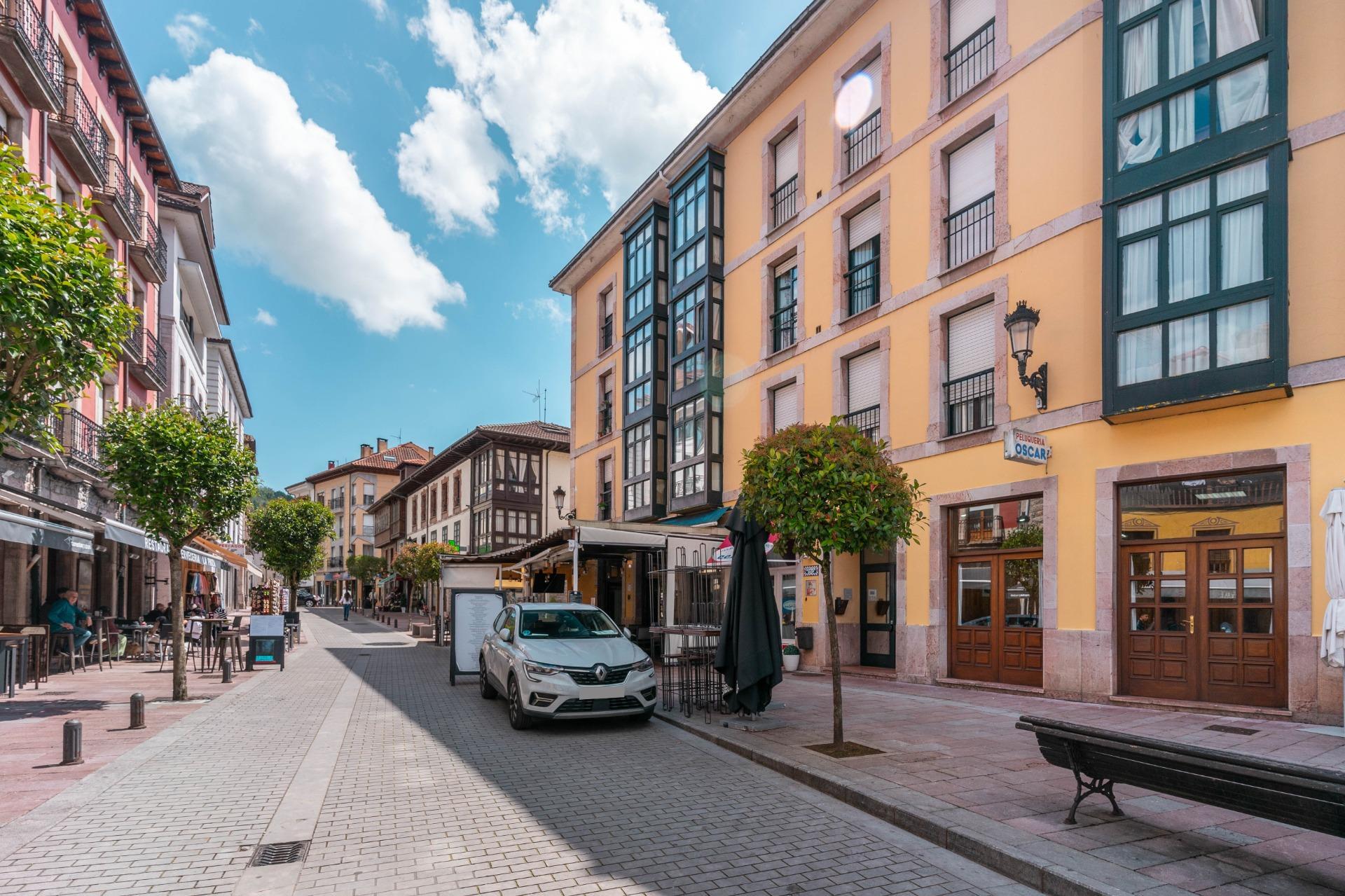 Edificios-Venta-Cangas de OnÃ­s-1724148-Foto-85