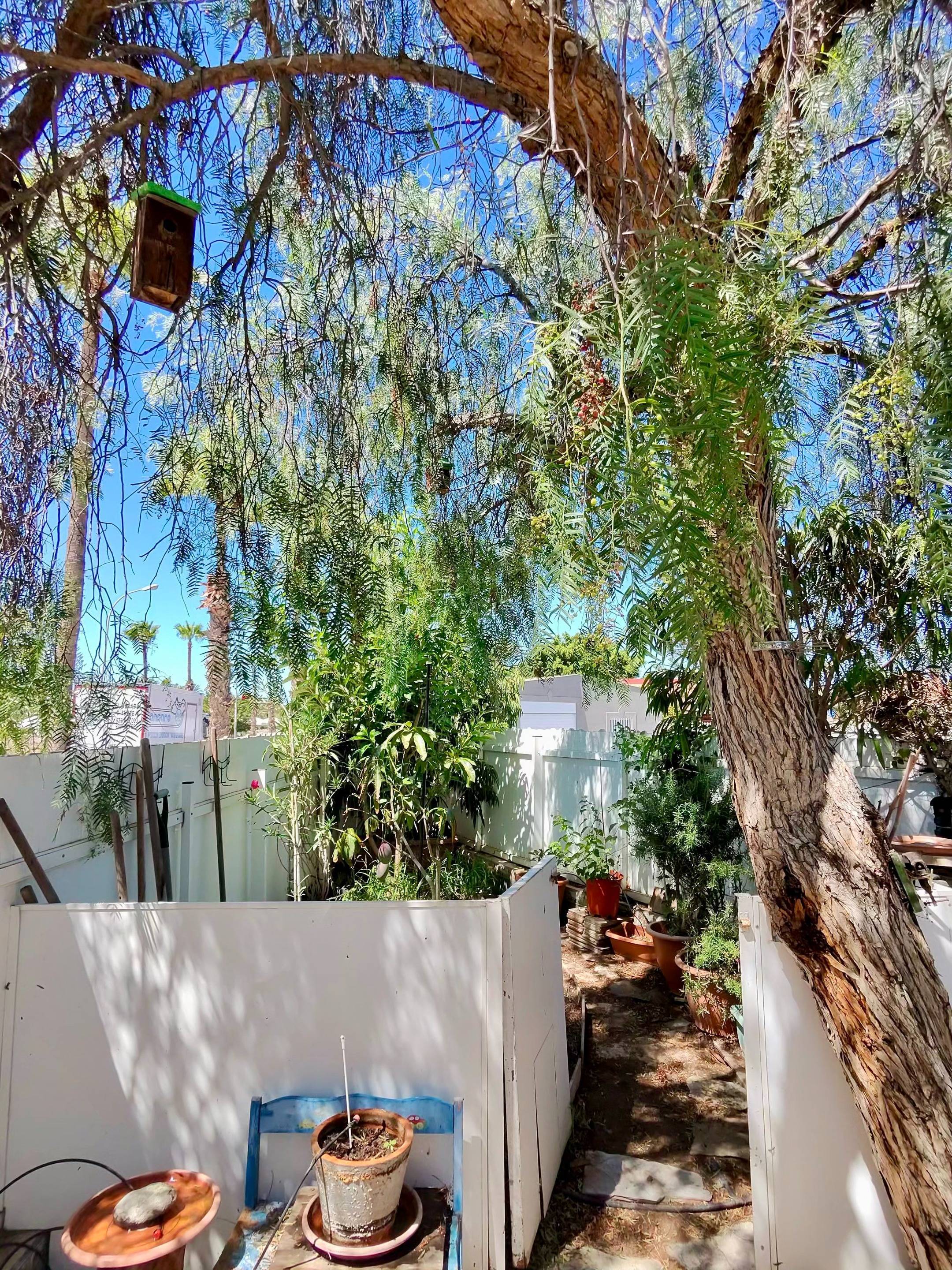 Casas o chalets-Alquiler-San BartolomÃ© de Tirajana-1830020-Foto-5