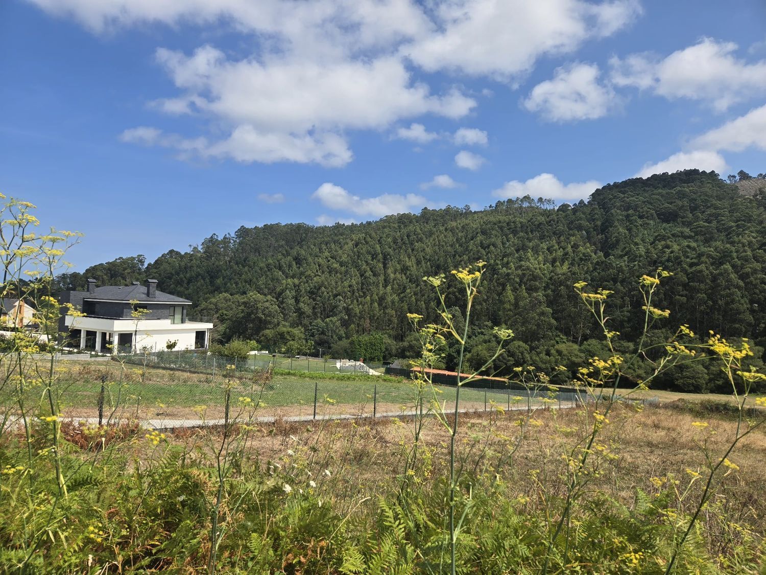 Fincas y solares-Venta-O Vicedo-1830029-Foto-4
