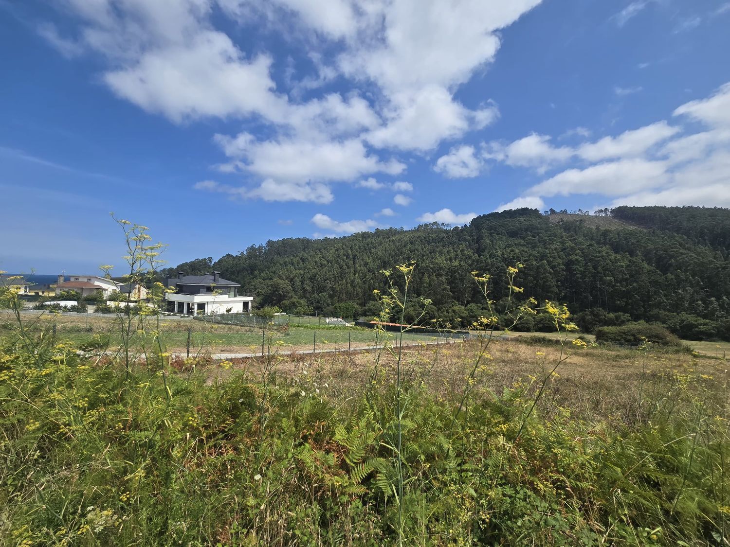 Fincas y solares-Venta-O Vicedo-1830029-Foto-7