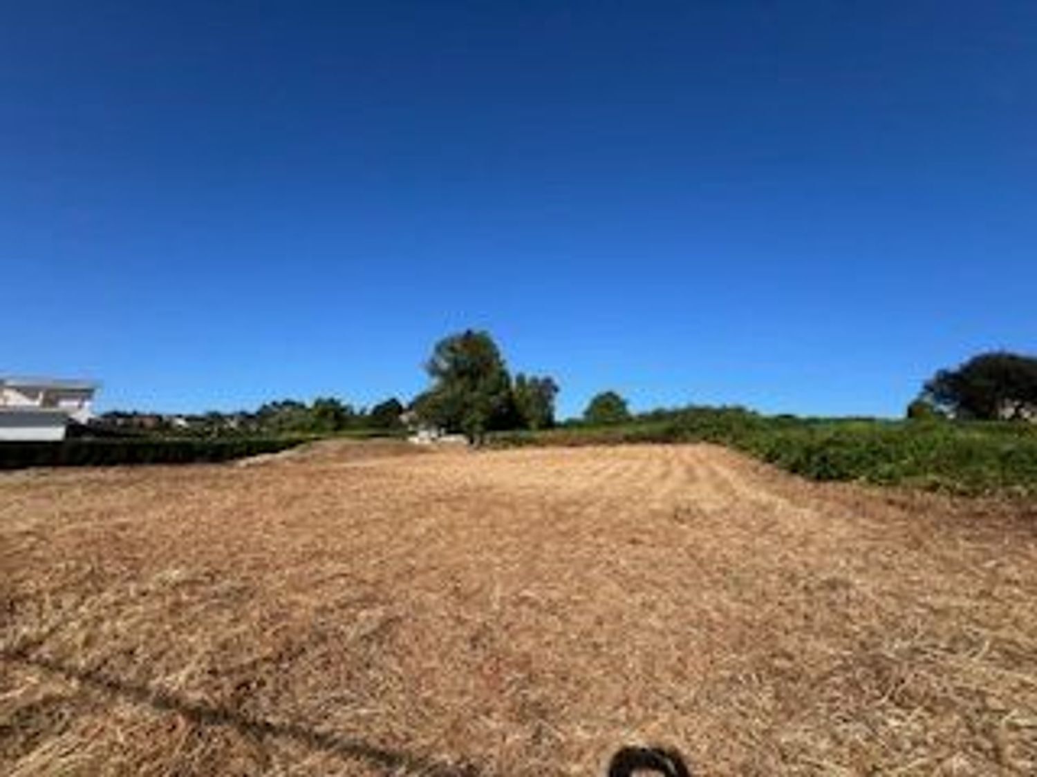 Fincas y solares-Venta-Fene-1830035-Foto-8