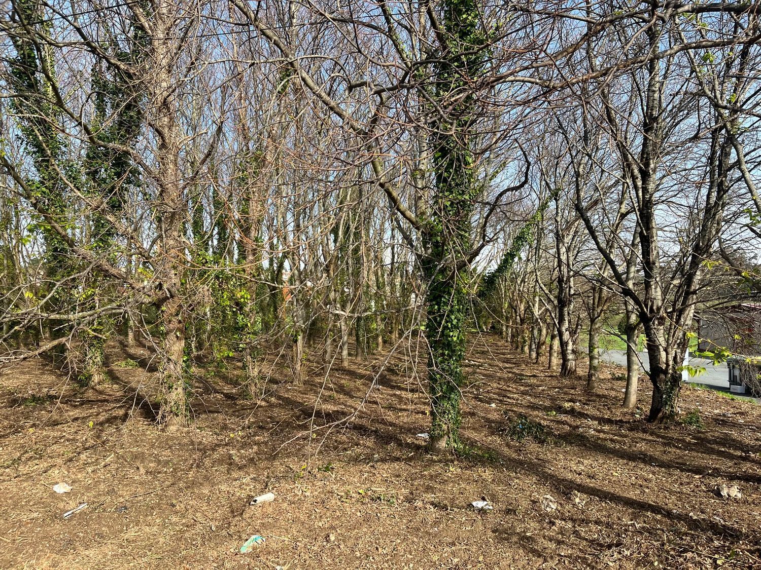 Suelo en venta, ValdoviÃ±o, La CoruÃ±a, La CoruÃ±a