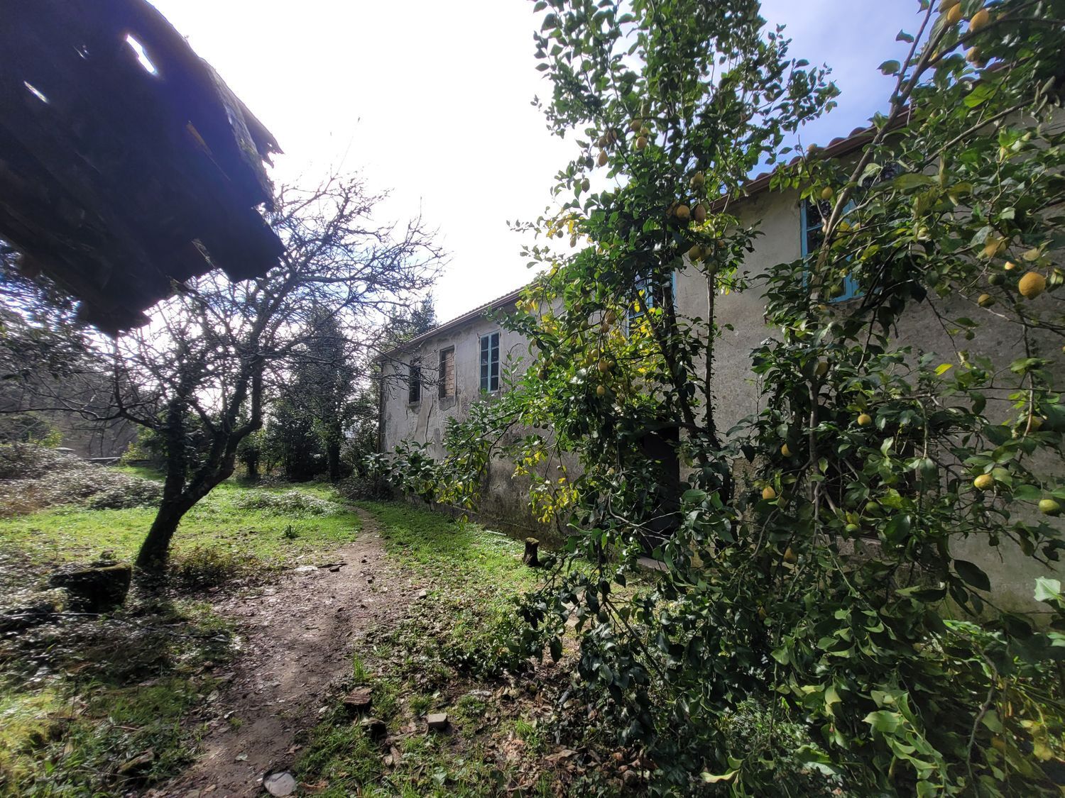 Casas o chalets-Venta-Caldas de Reis-1639762-Foto-24