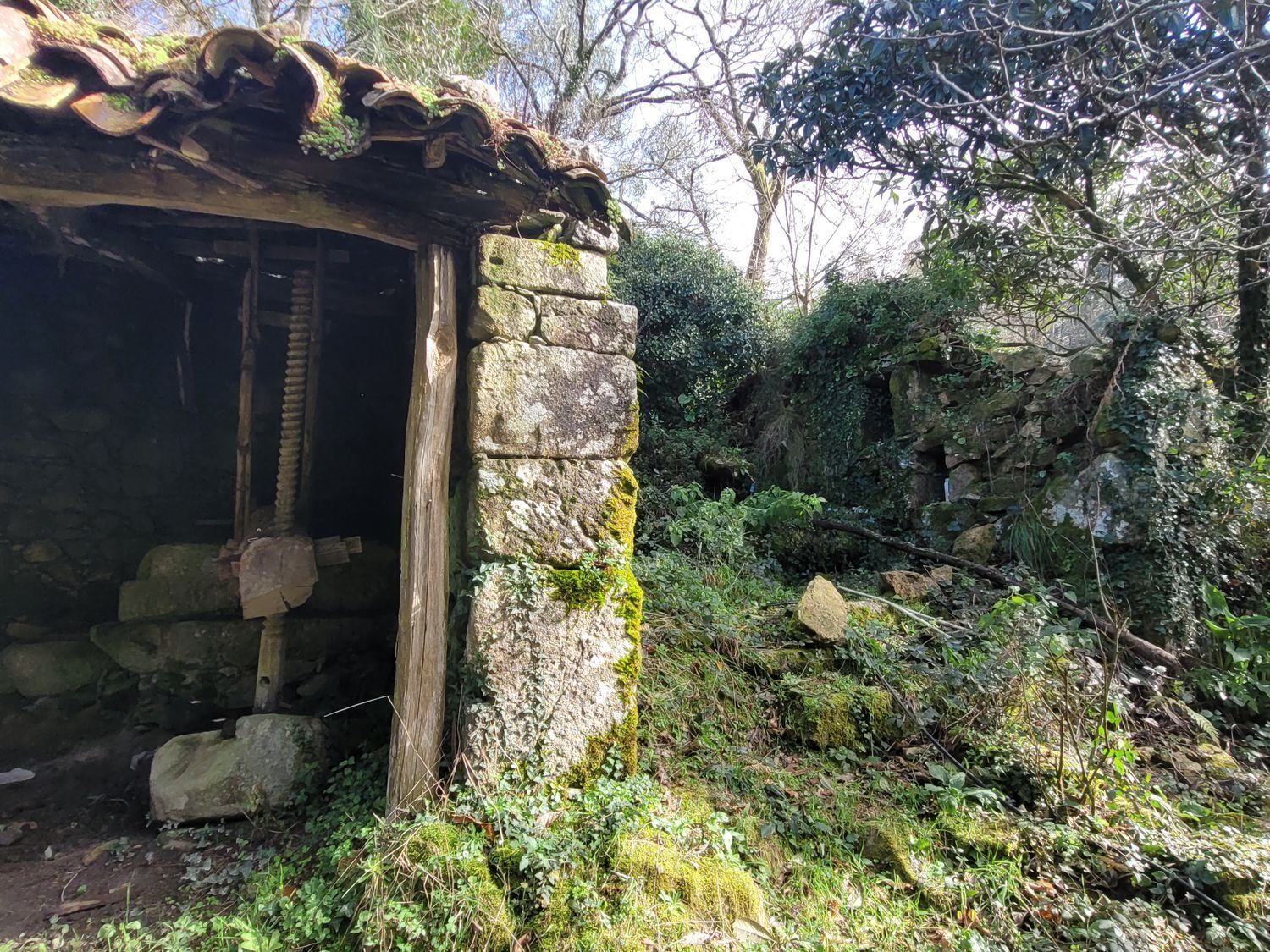 Casas o chalets-Venta-Caldas de Reis-1639762-Foto-23