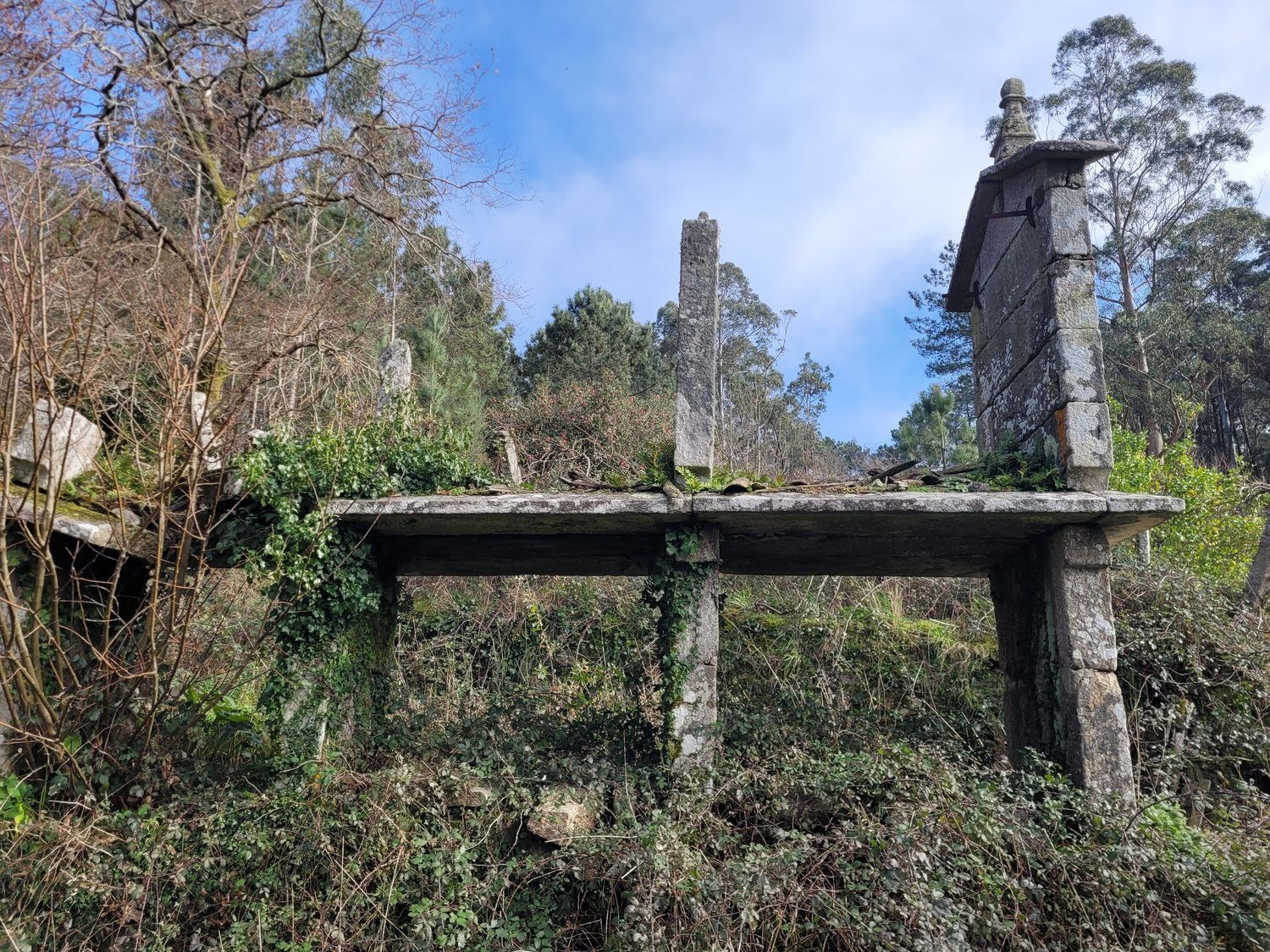 Casas o chalets-Venta-Caldas de Reis-1639762-Foto-25