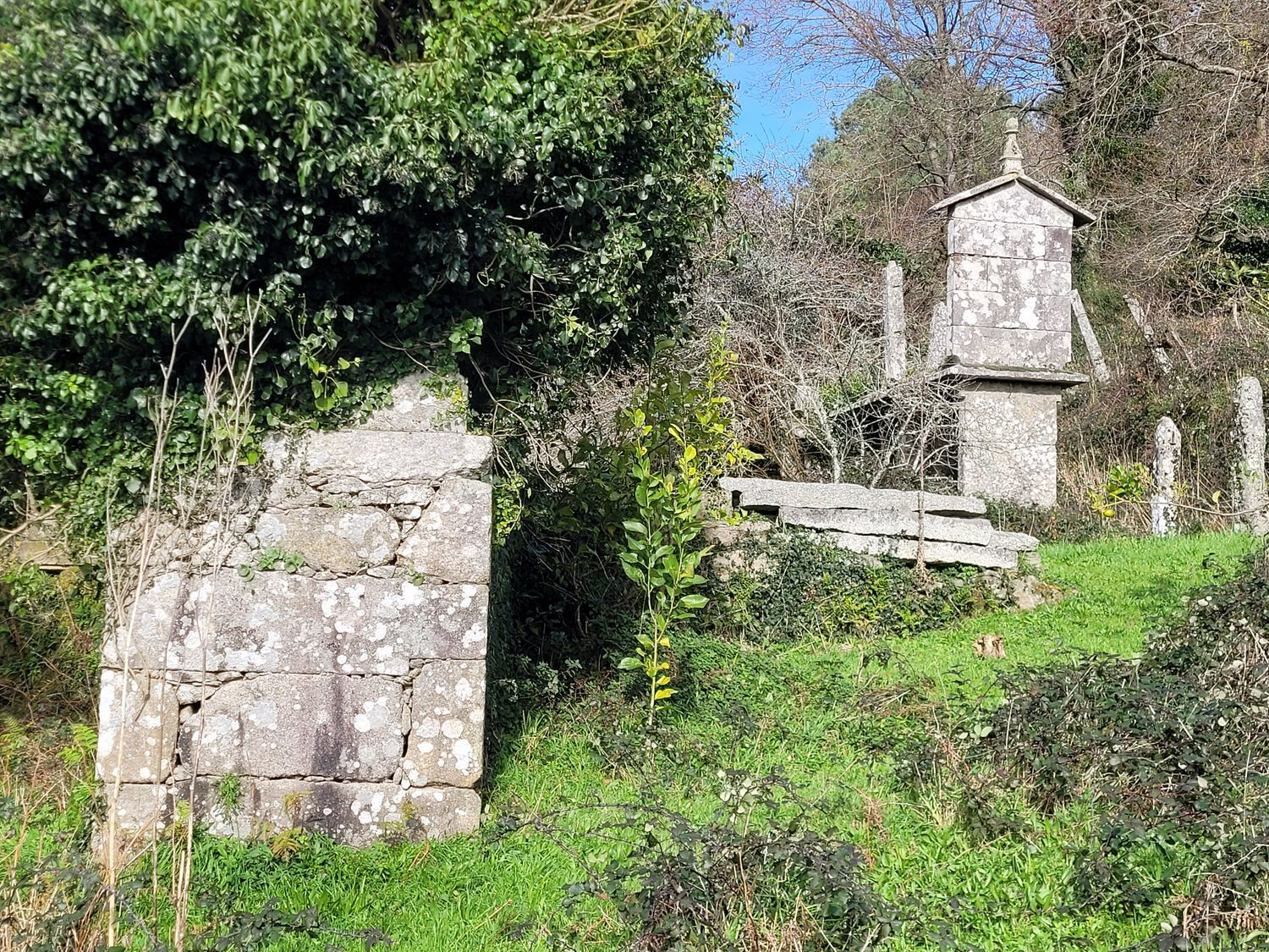 Casas o chalets-Venta-Caldas de Reis-1639762-Foto-29