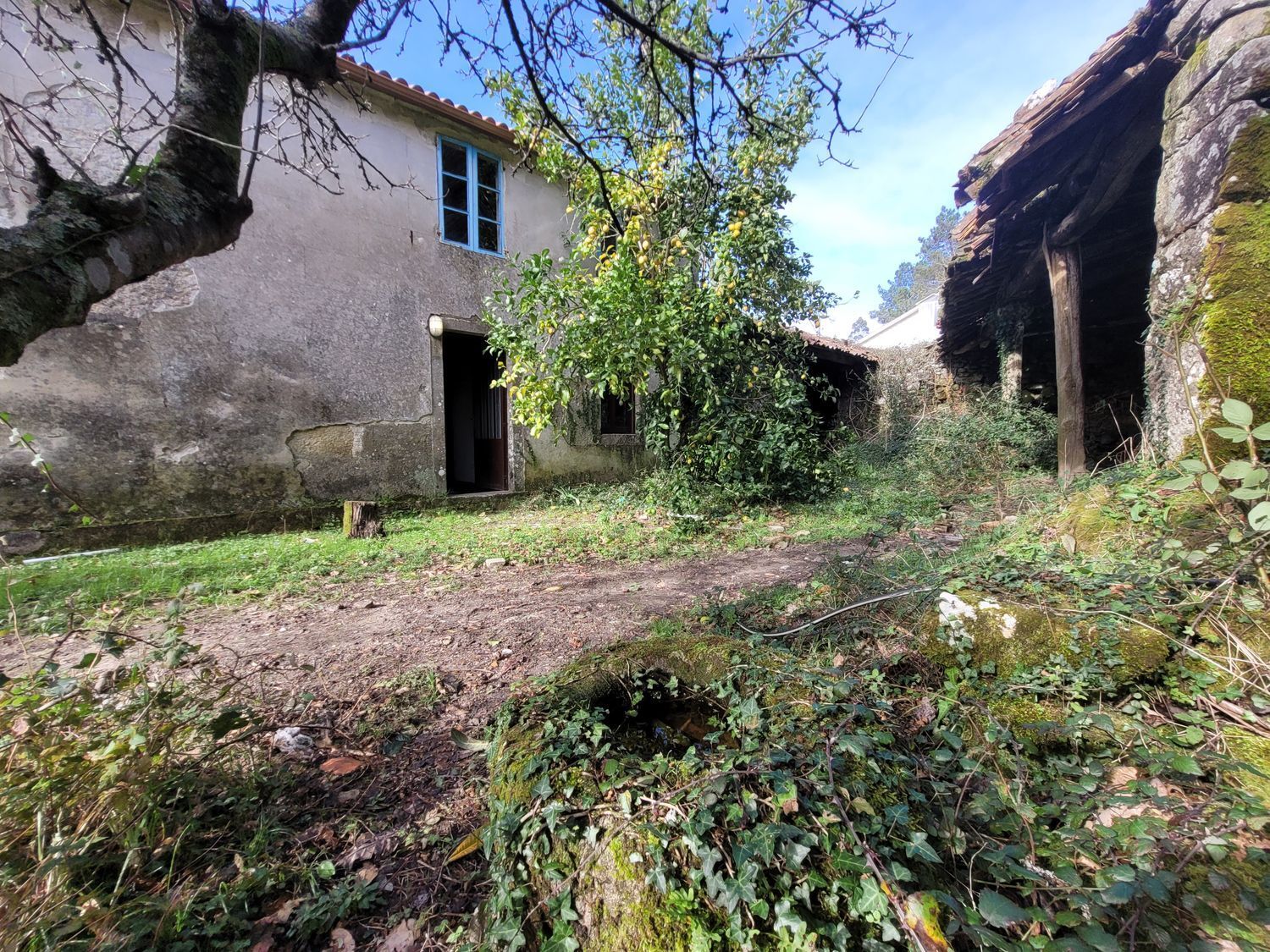 Casas o chalets-Venta-Caldas de Reis-1639762-Foto-26