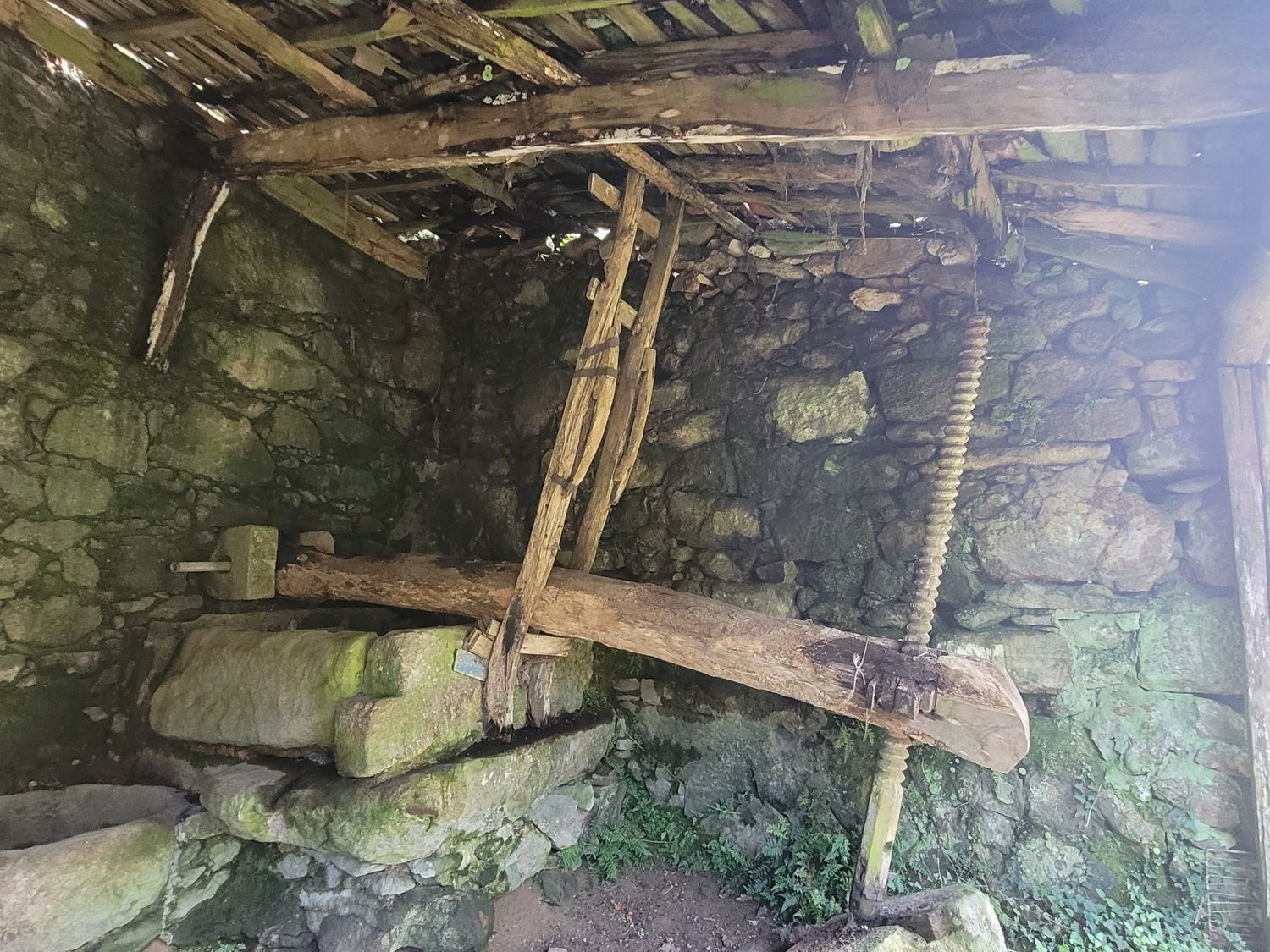 Casas o chalets-Venta-Caldas de Reis-1639762-Foto-30