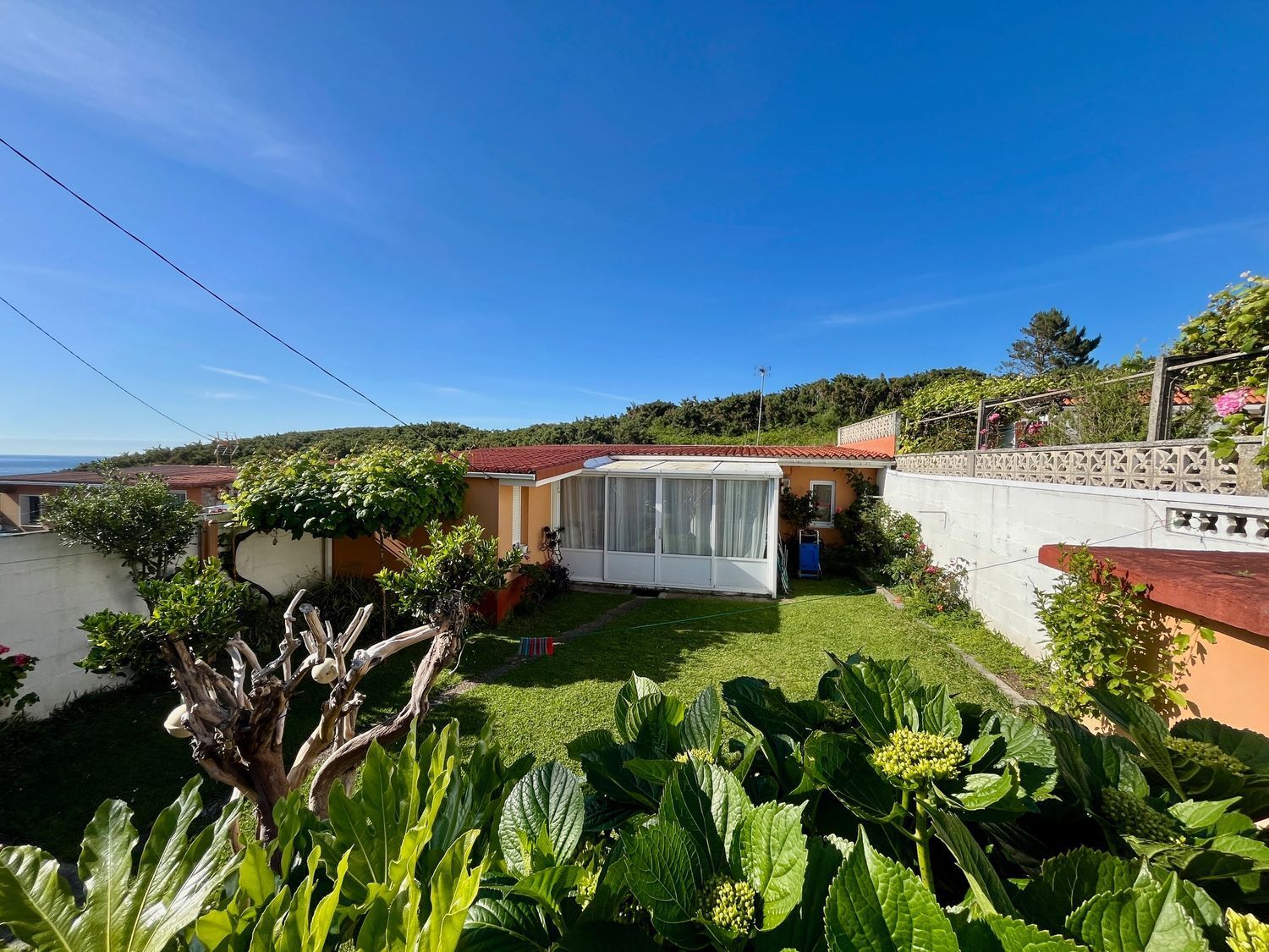 Casas o chalets-Venta-1830059