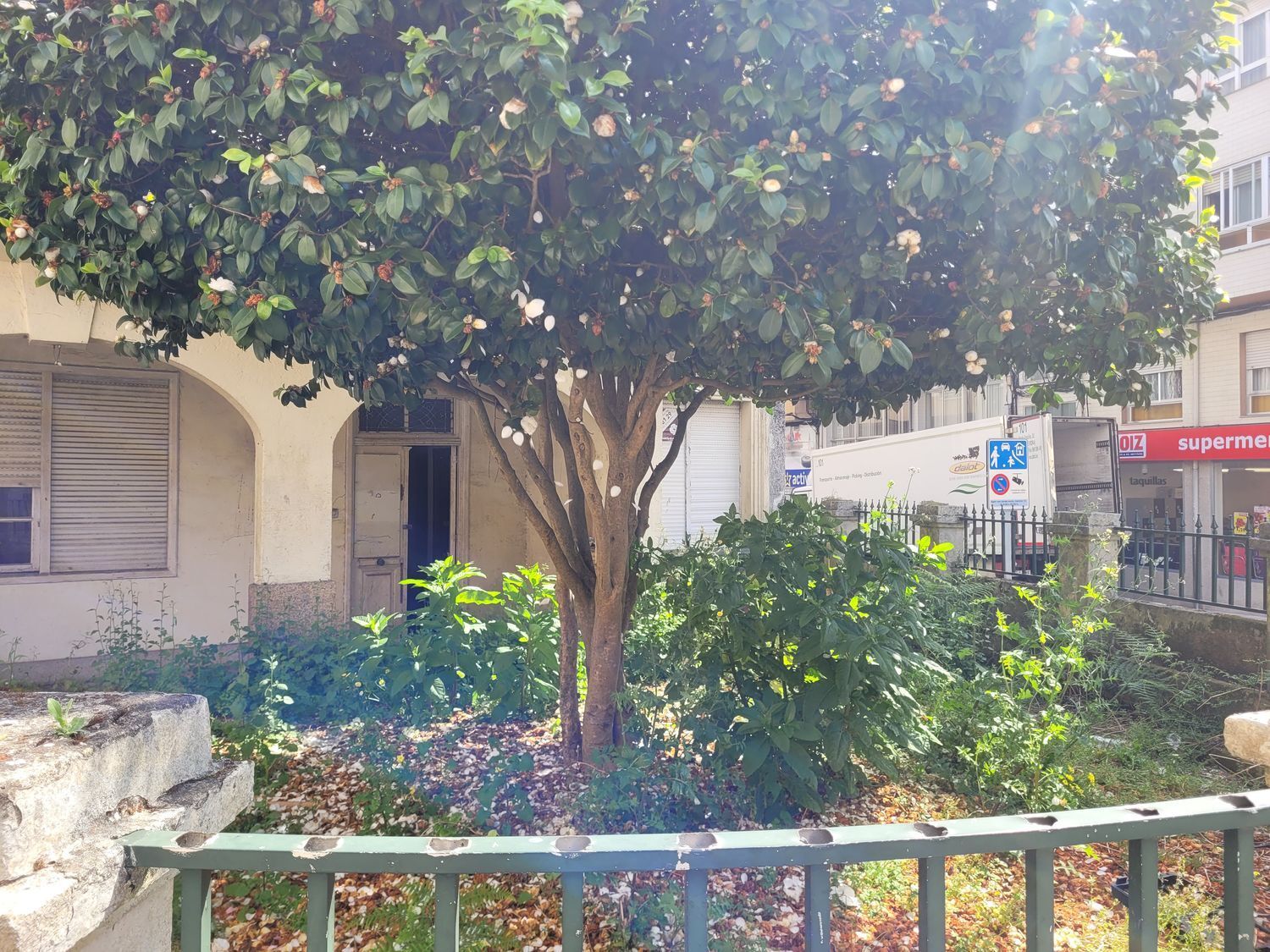 Casas o chalets-Venta-Ribeira-1830062-Foto-2