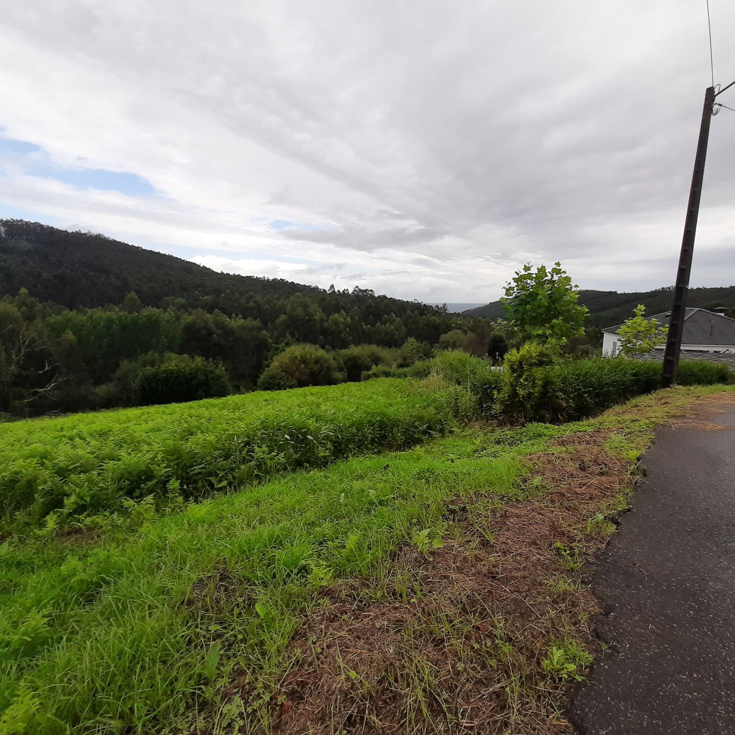 Fincas y solares-Venta-O Vicedo-1479490-Foto-5