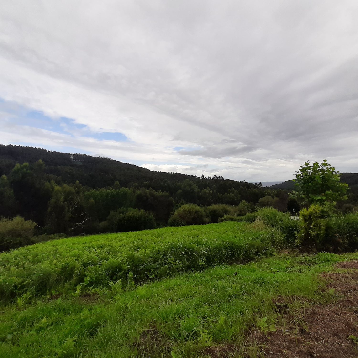 Fincas y solares-Venta-1479490