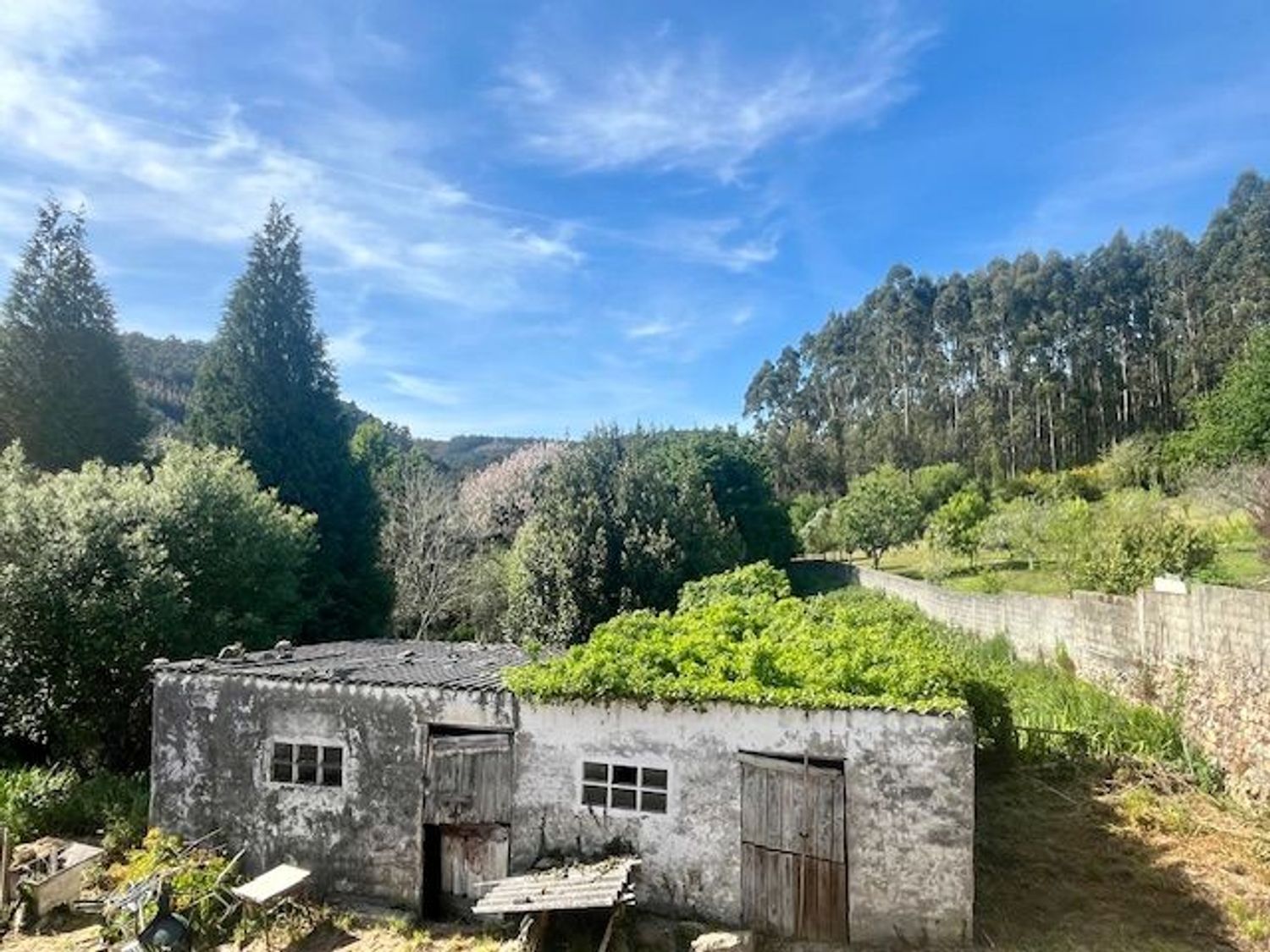 Casas o chalets-Venta-Ferrol-1722847-Foto-7