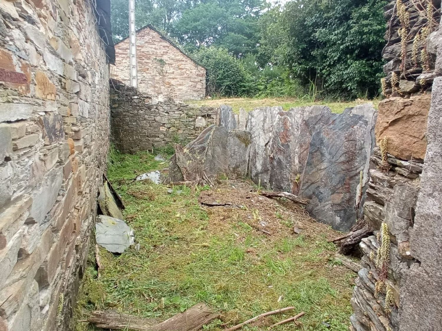 Casas o chalets-Venta-Xermade-1711003-Foto-8