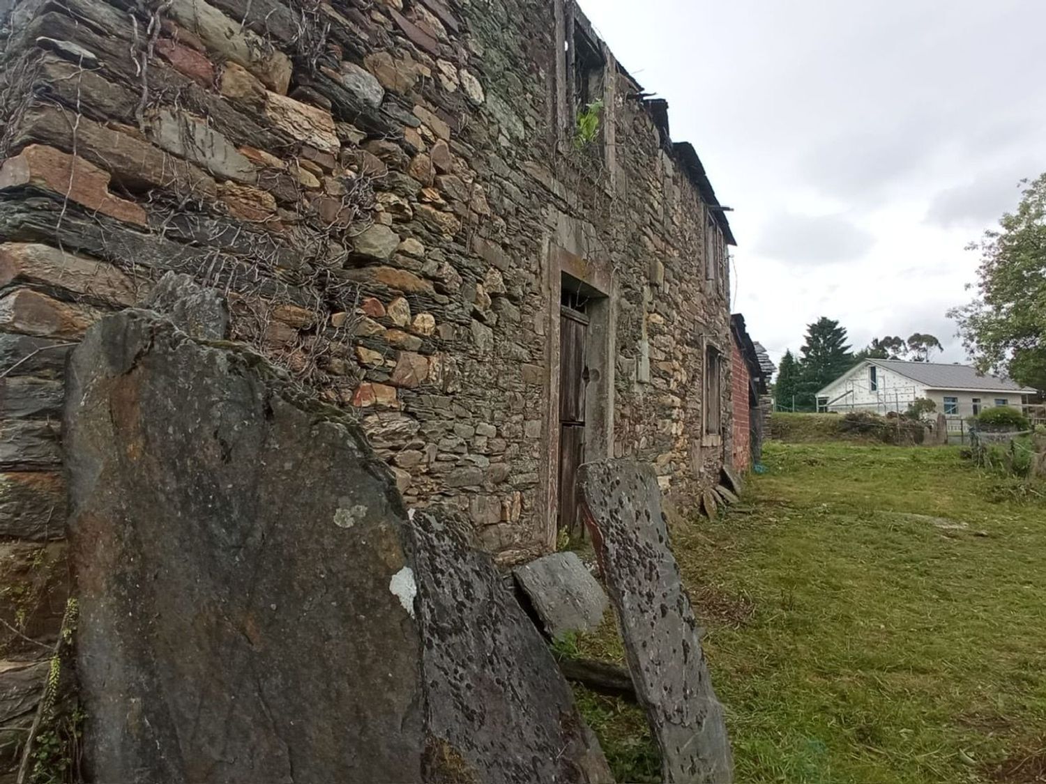 Casas o chalets-Venta-Xermade-1711003-Foto-10