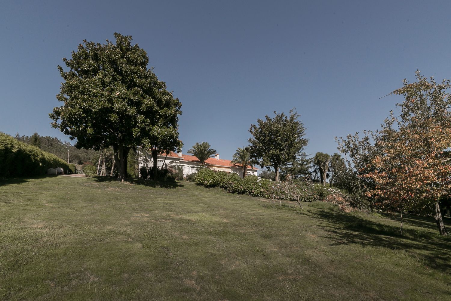 Casas o chalets-Venta-Abegondo-1705754-Foto-7