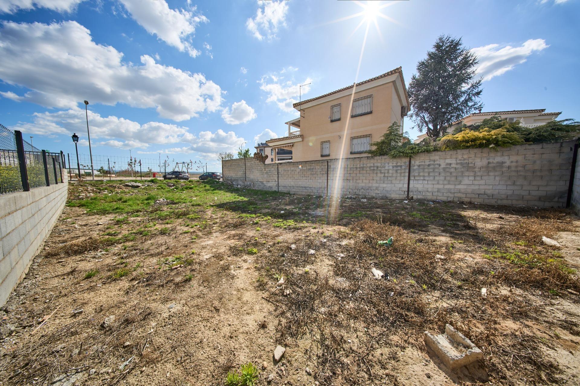 Fincas y solares-Venta-LÃ¡char-1709466-Foto-7