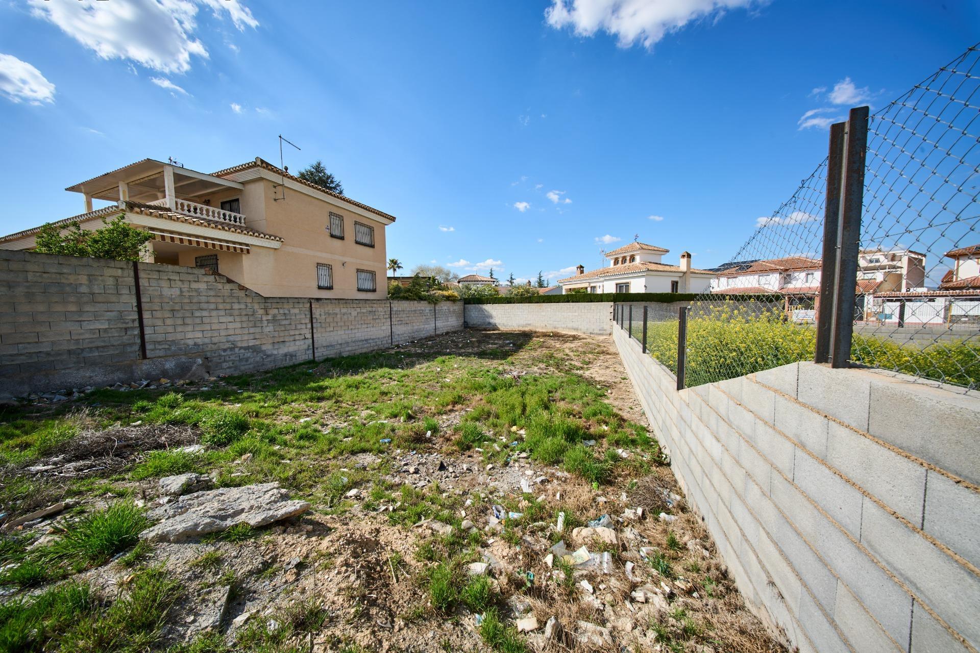 Fincas y solares-Venta-LÃ¡char-1709466-Foto-8